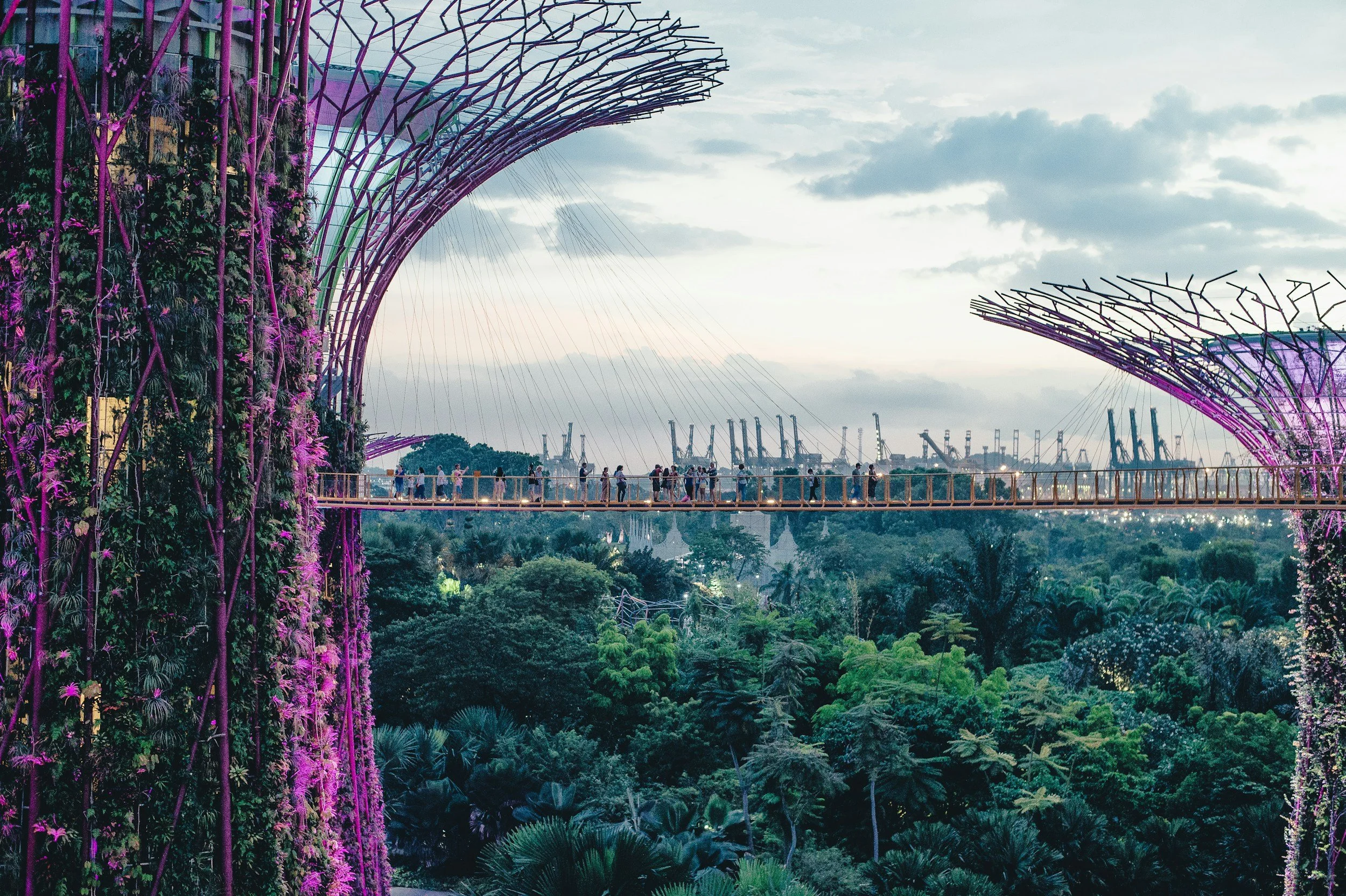 Singapore: Experiences Guide