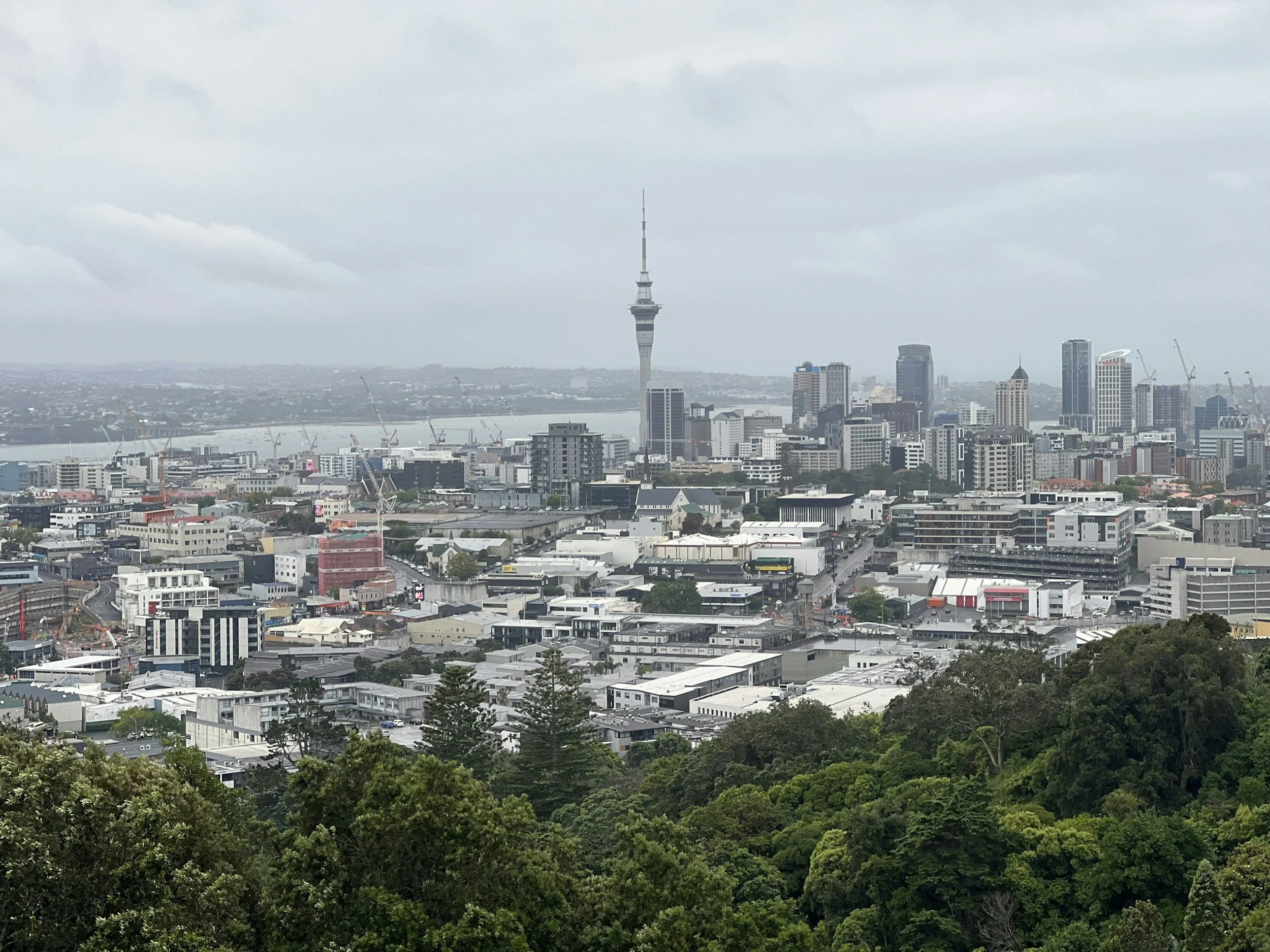 auckland city and cbd from above grey misty day