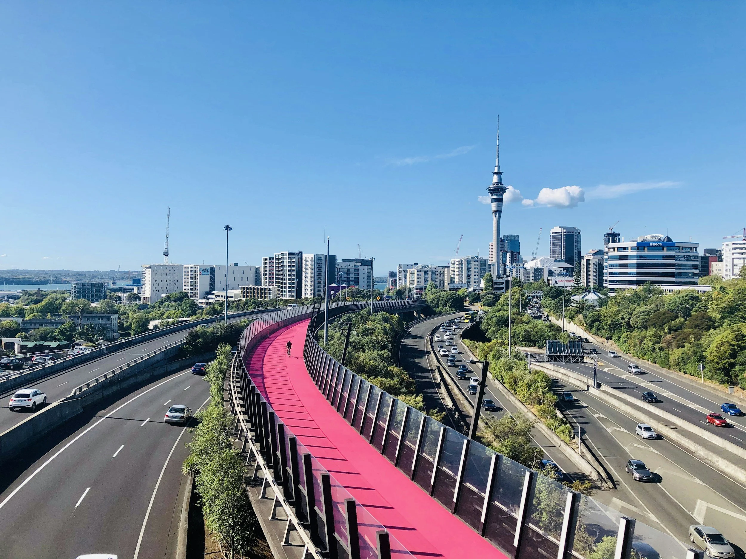 Auckland: Experiences Guide