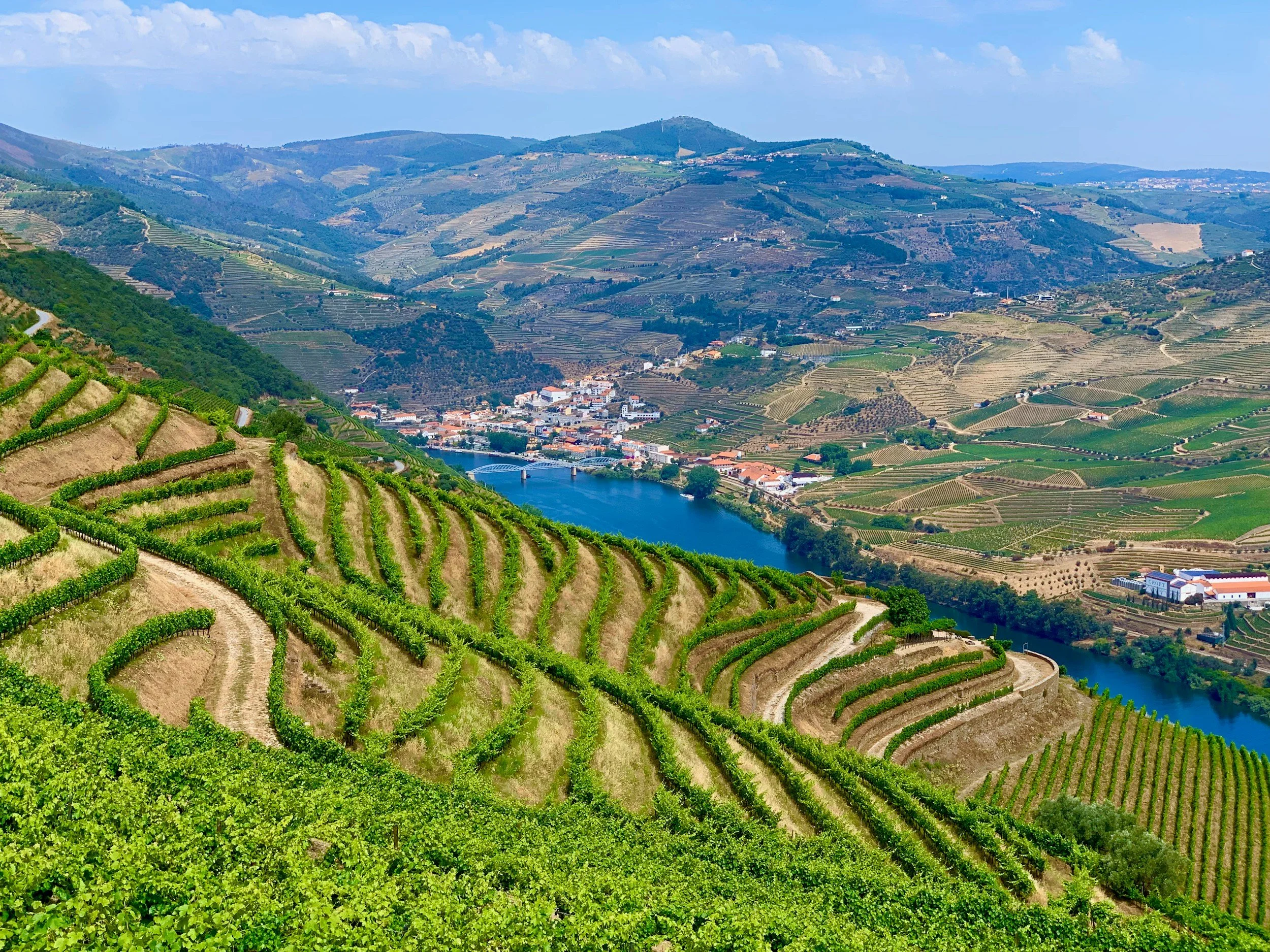 douro valley portugal rolling hills wine region
