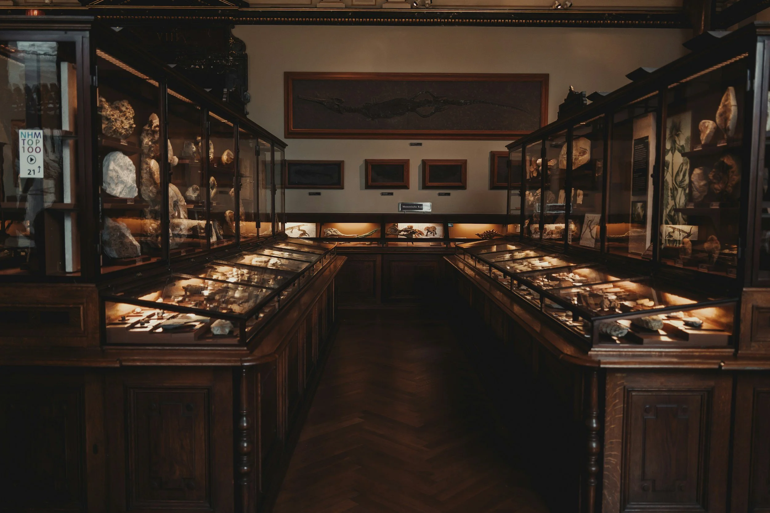 vienna museum