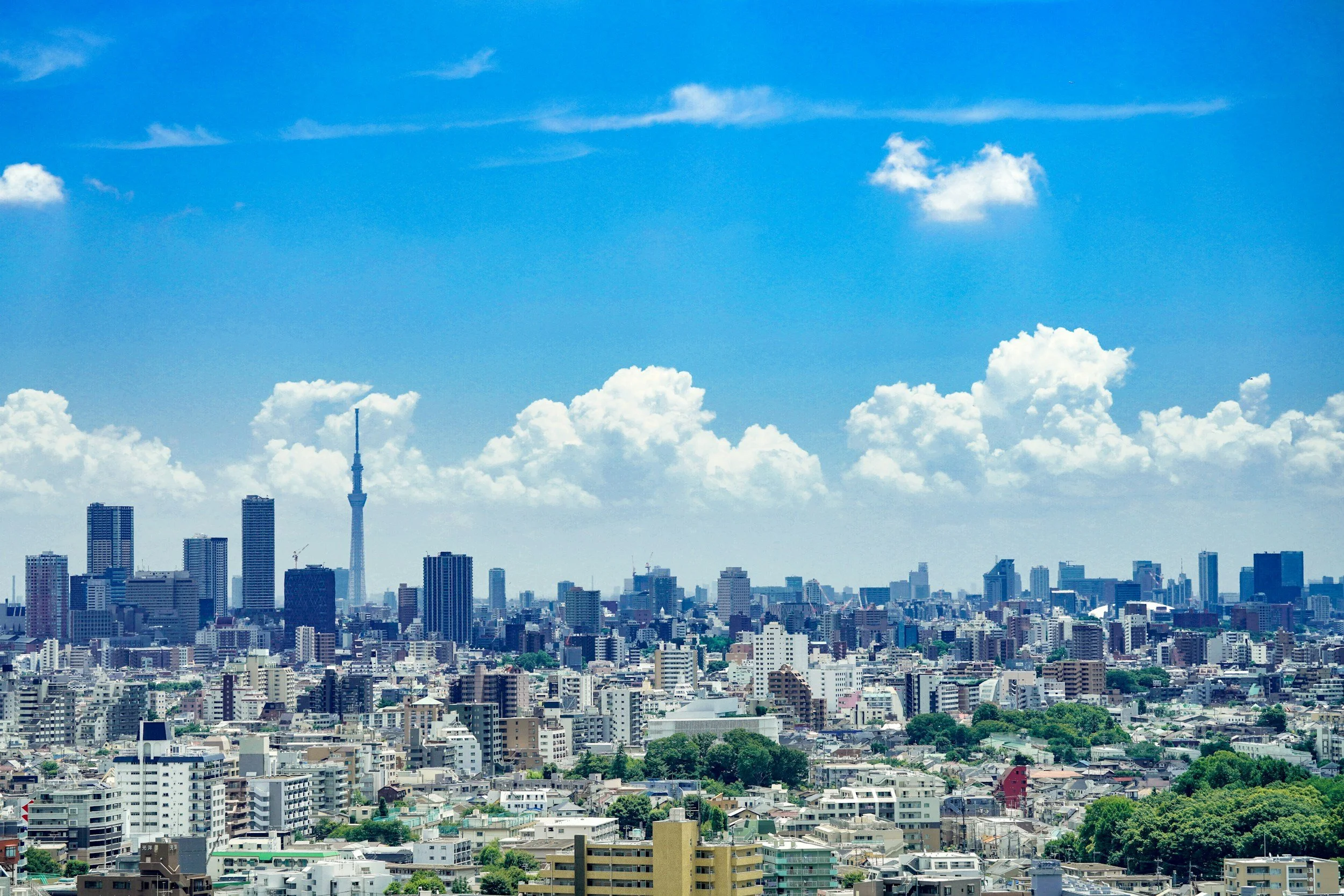tokyo skyline