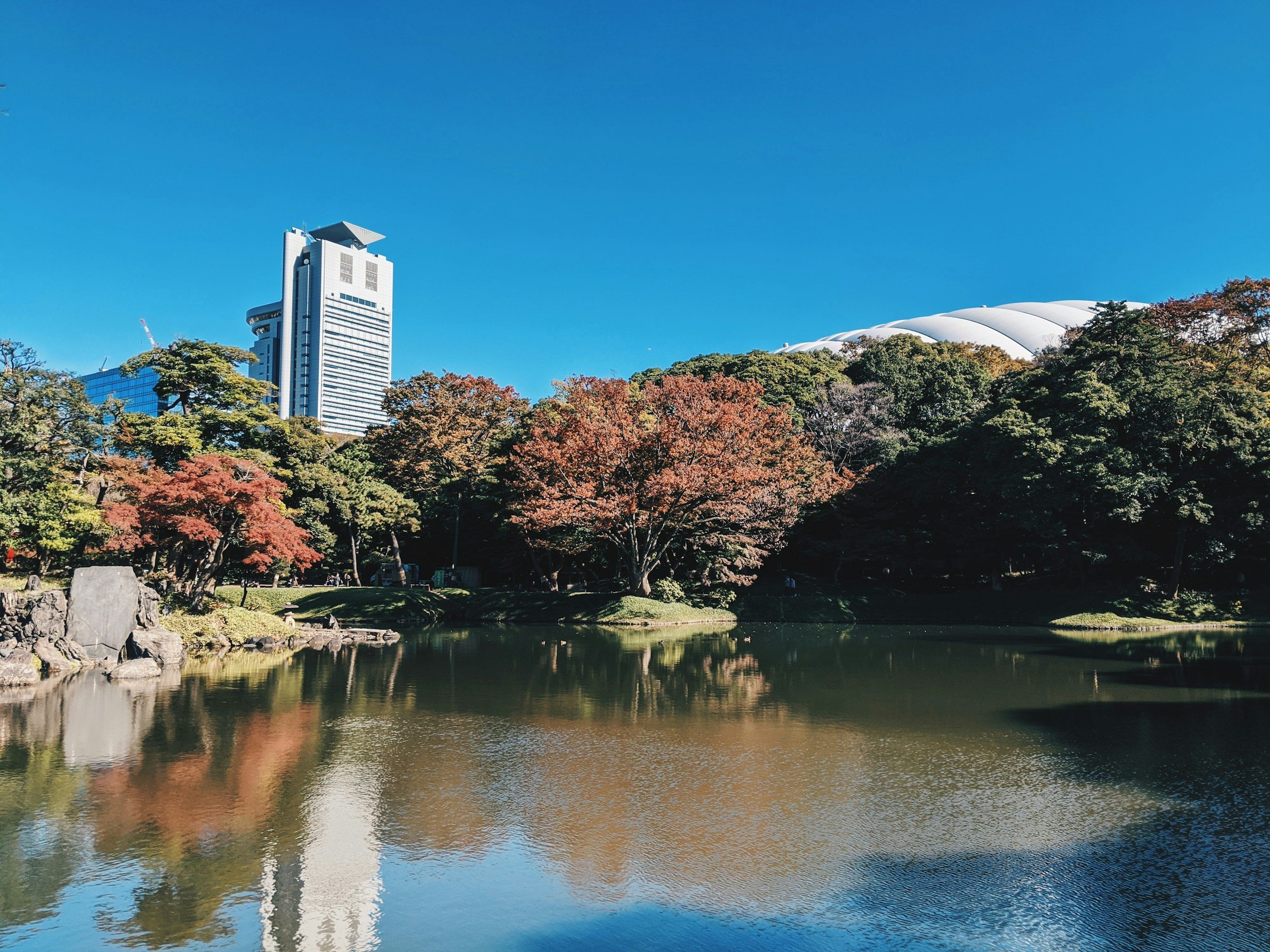 tokyo autumn river