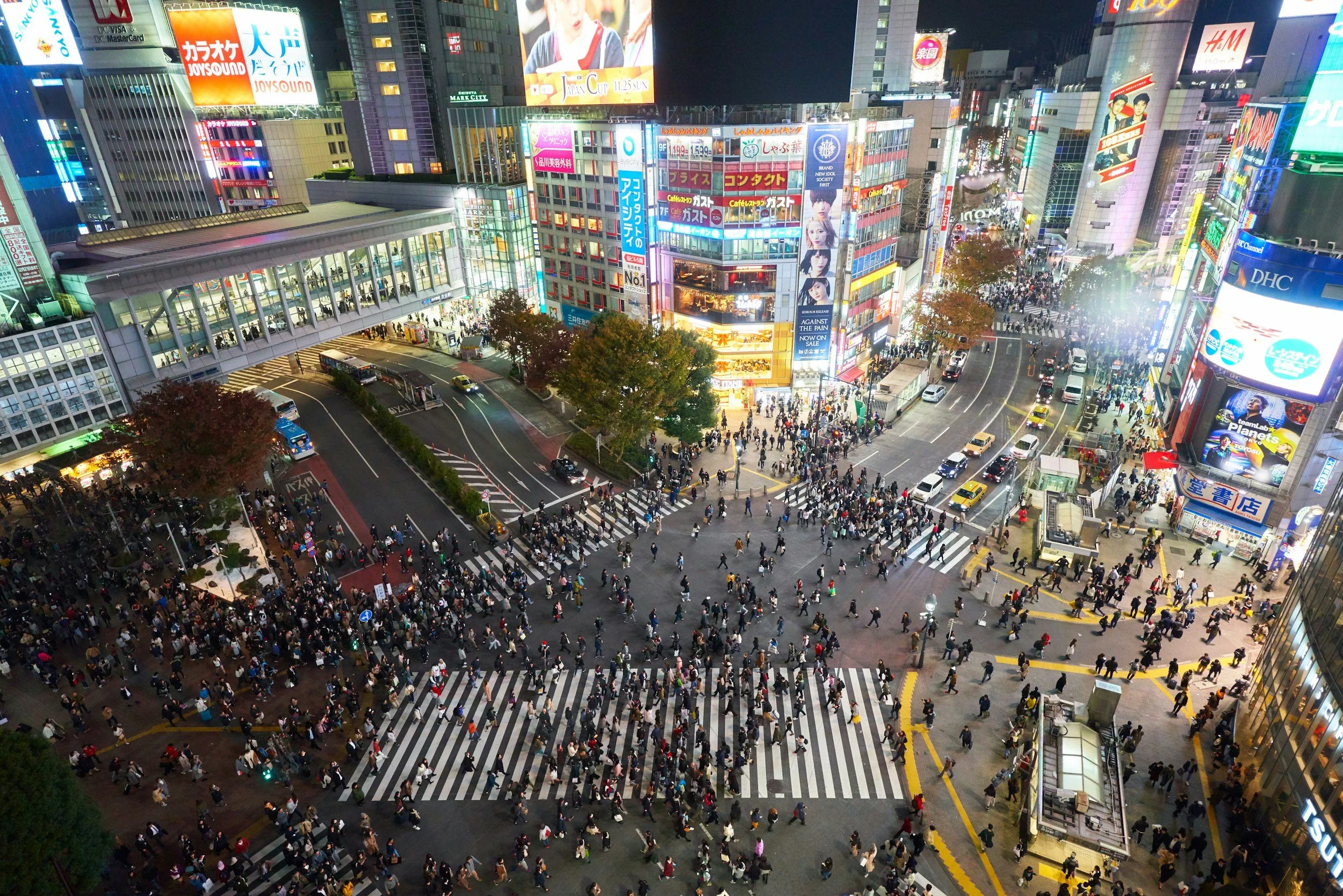 shibyua crossing
