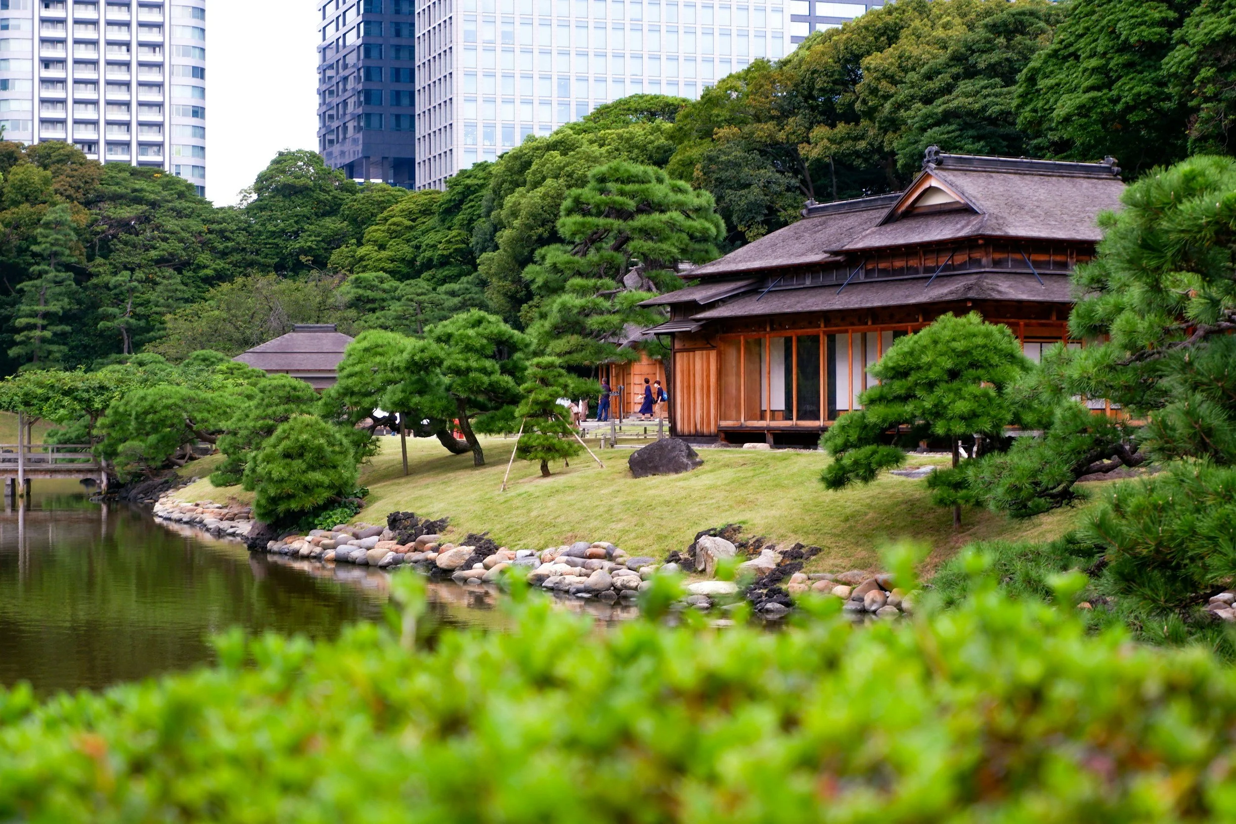 tokyo park