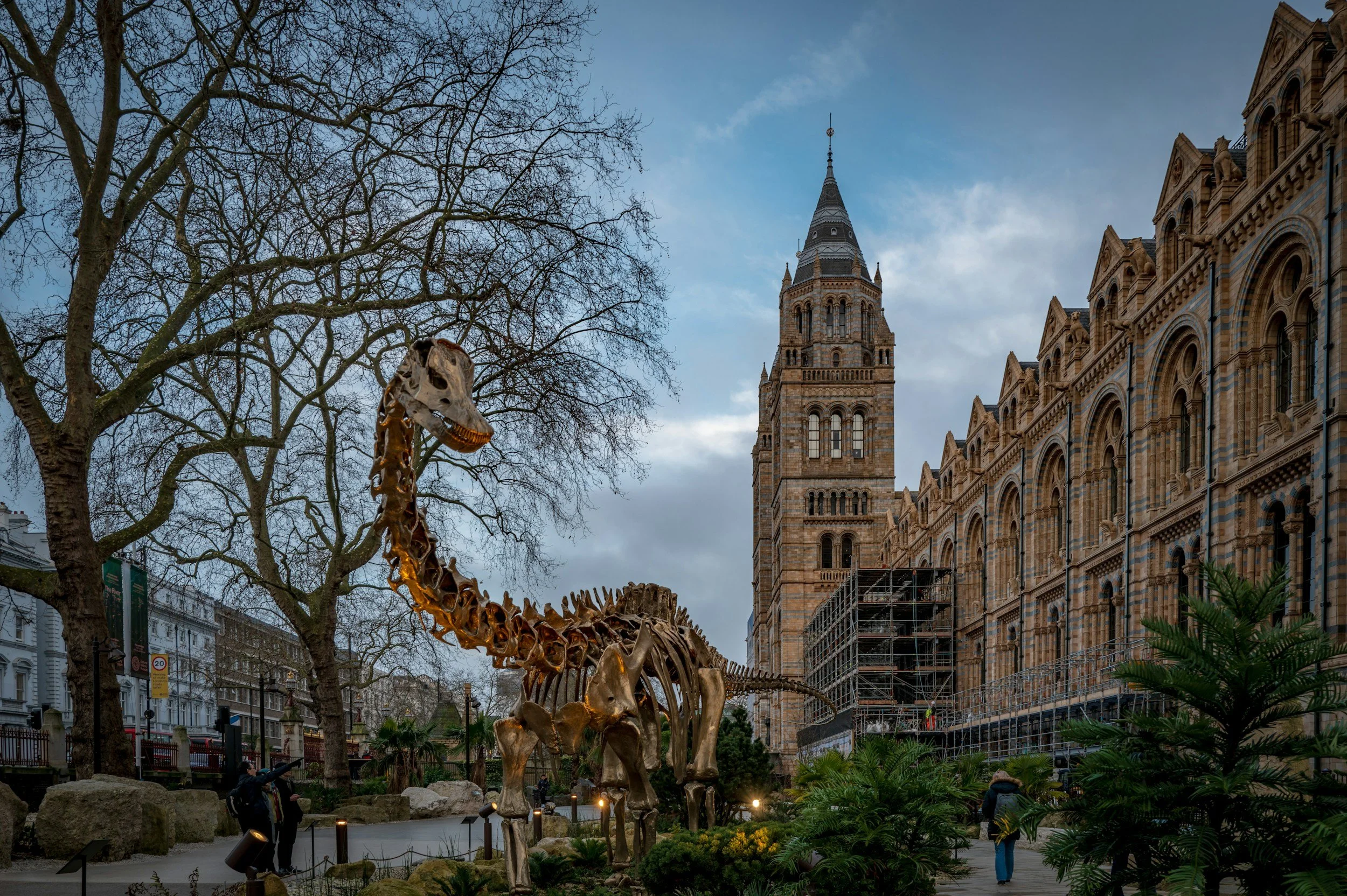 natural history museum london from the outside