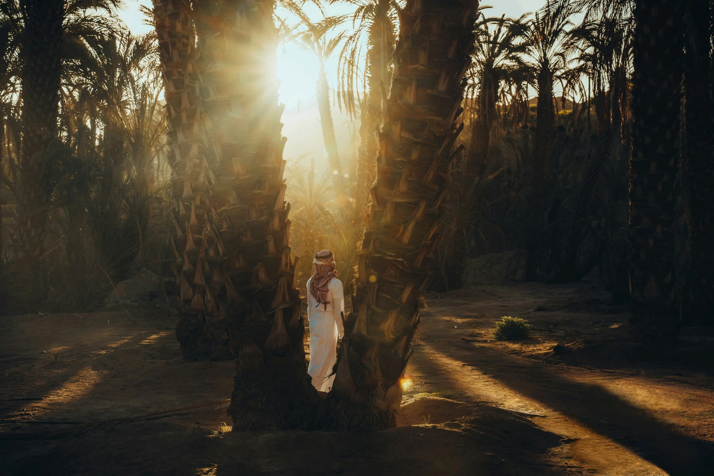 palm trees and woman sunset