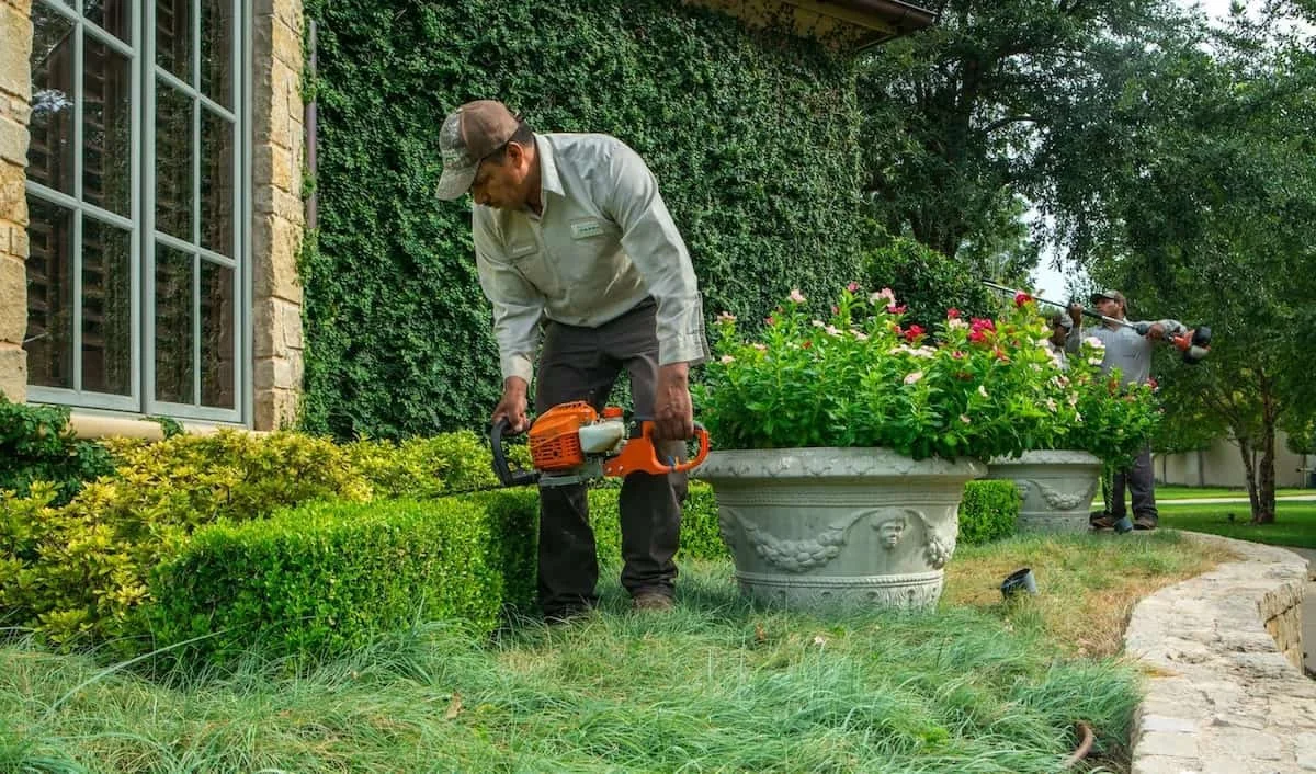 Landscapers trimming hedges and bushes in front yard garden.