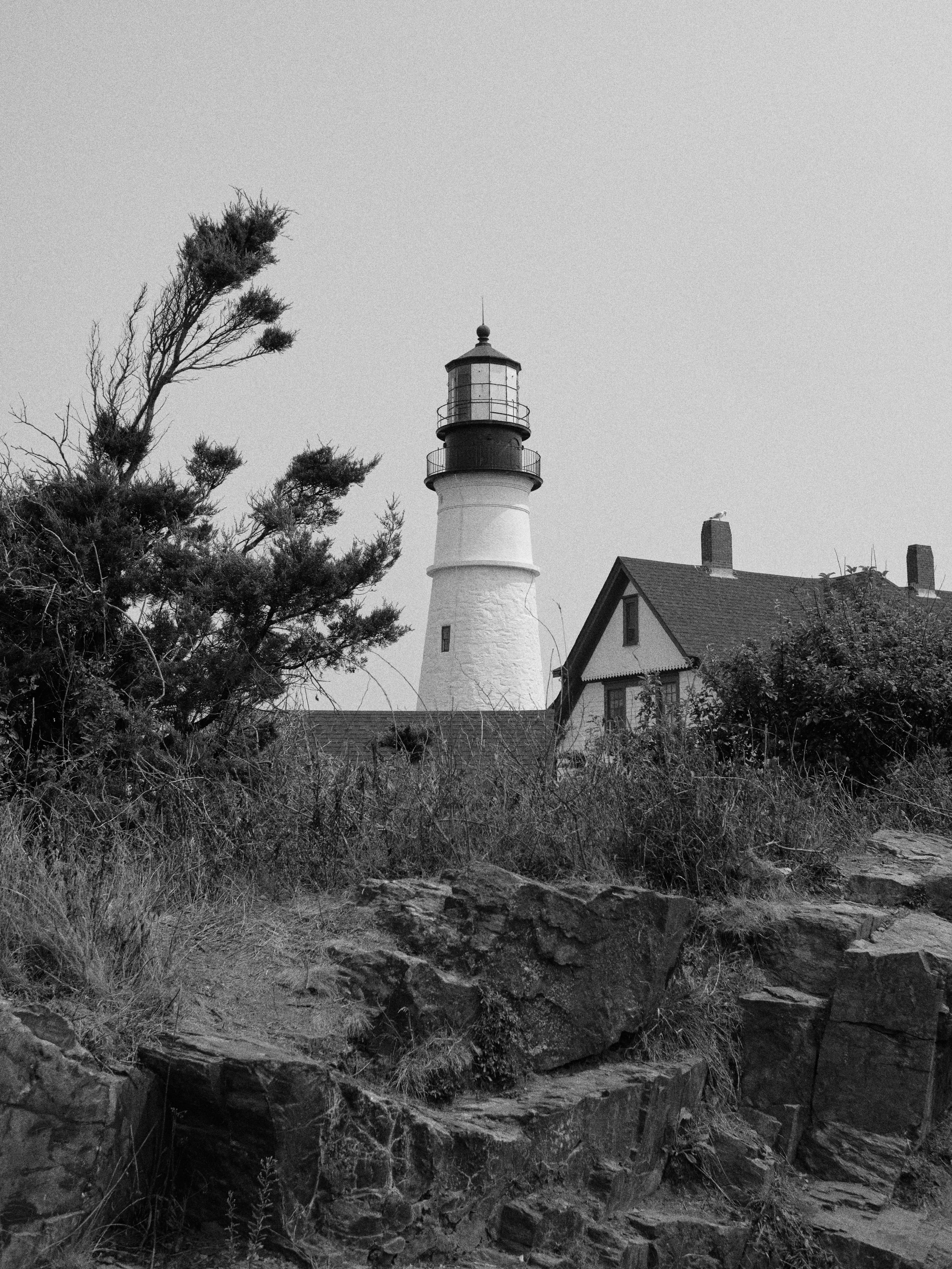 MAINE_PORTLAND 5.jpg