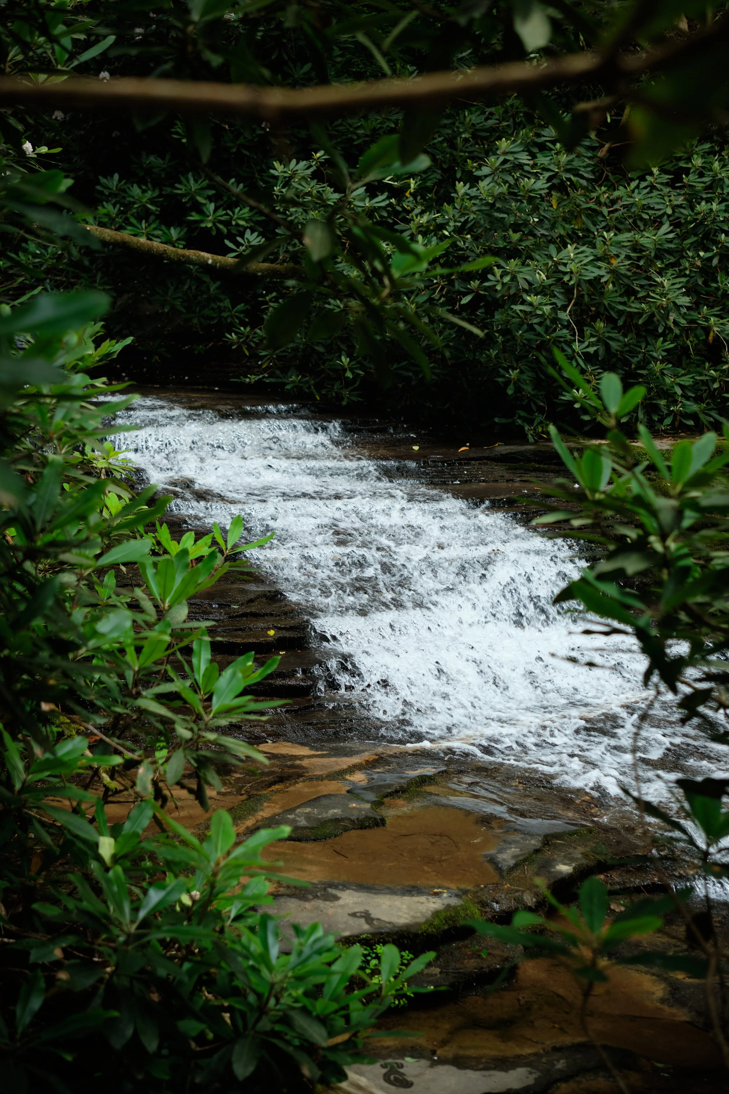 NGATrip_M 13.jpg