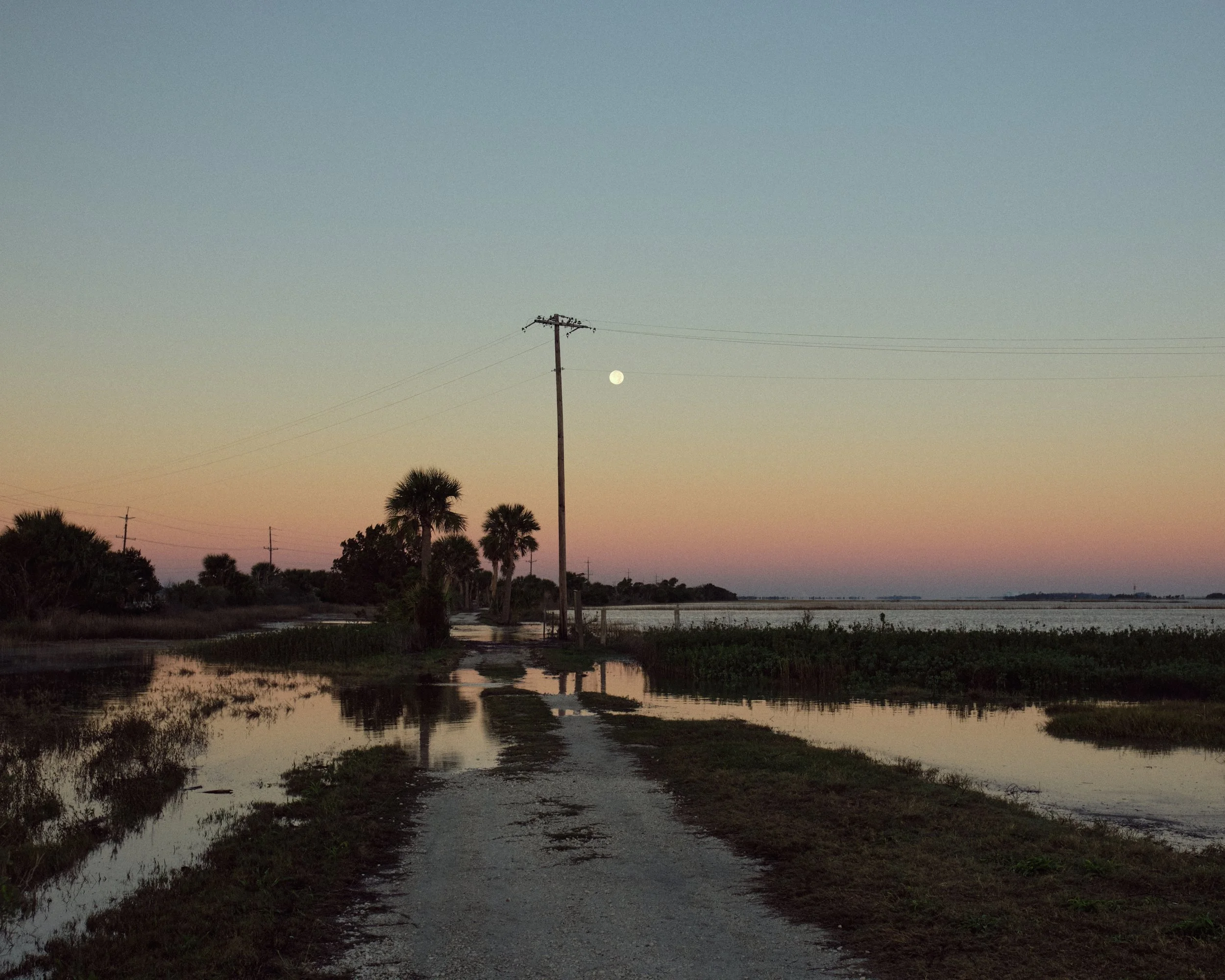 KingTide_Nov24 4.jpg