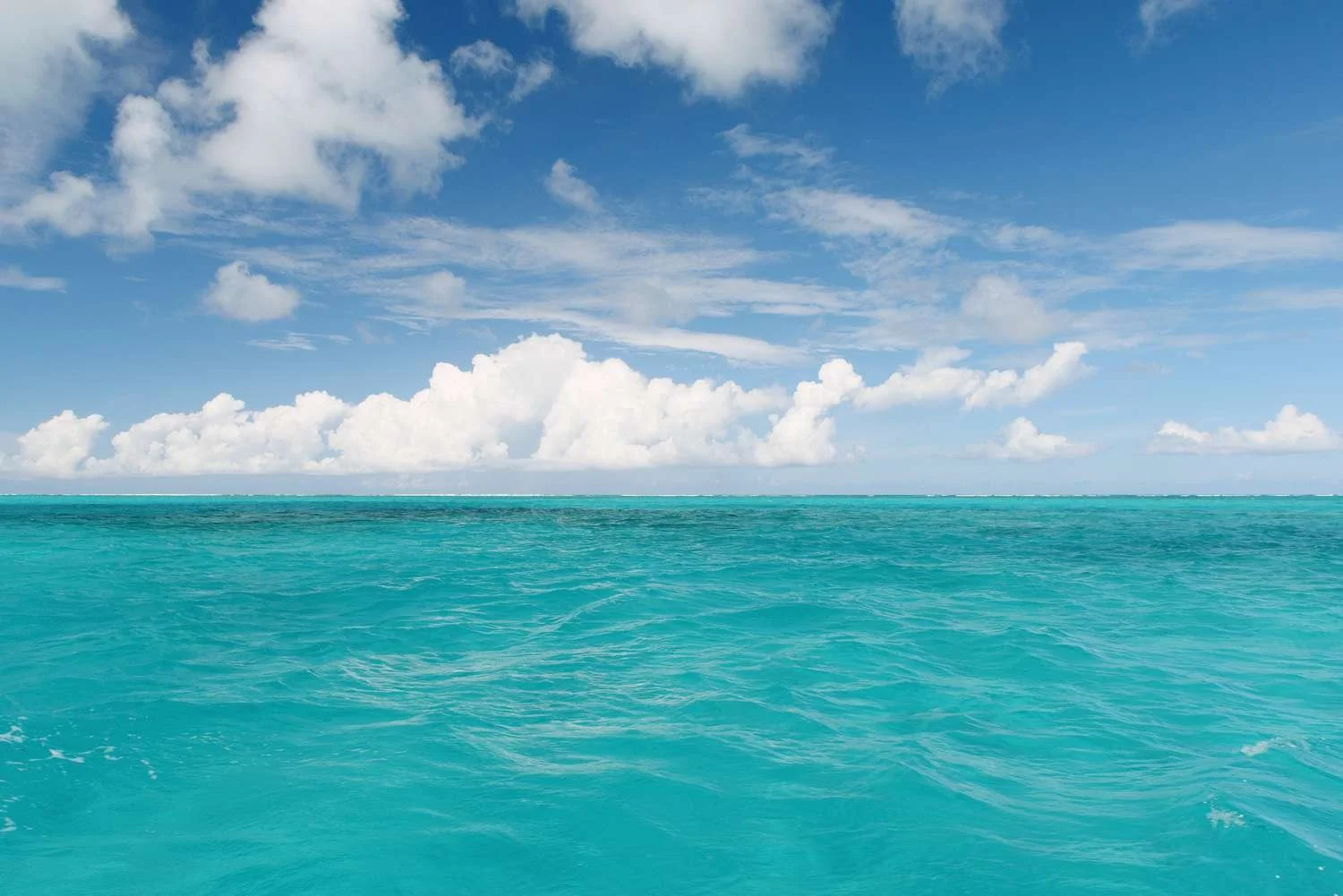 A beacon of light in the darkness…