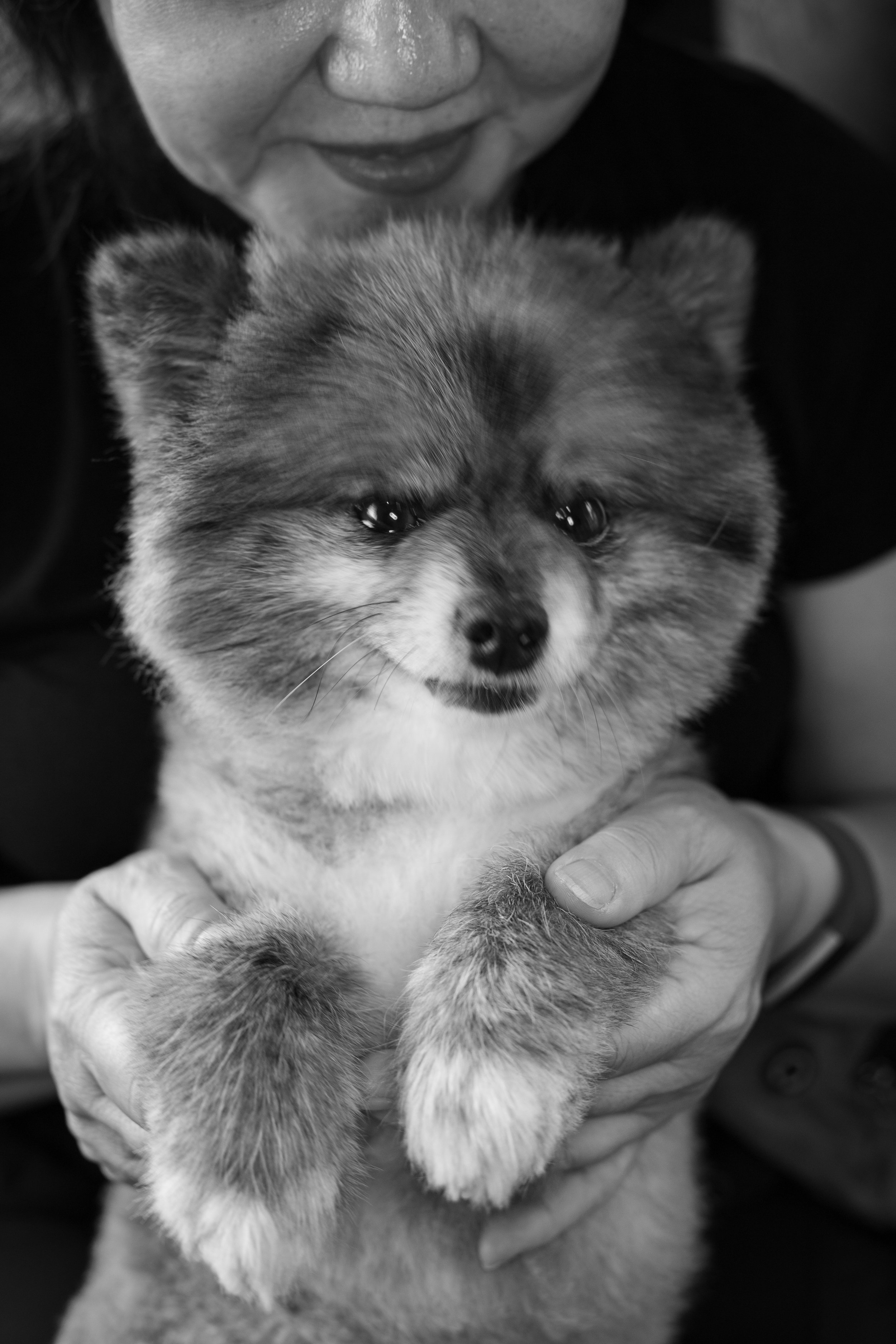 Black and white photo of a small dog with fluffy fur, being held by a person whose face is partially visible.