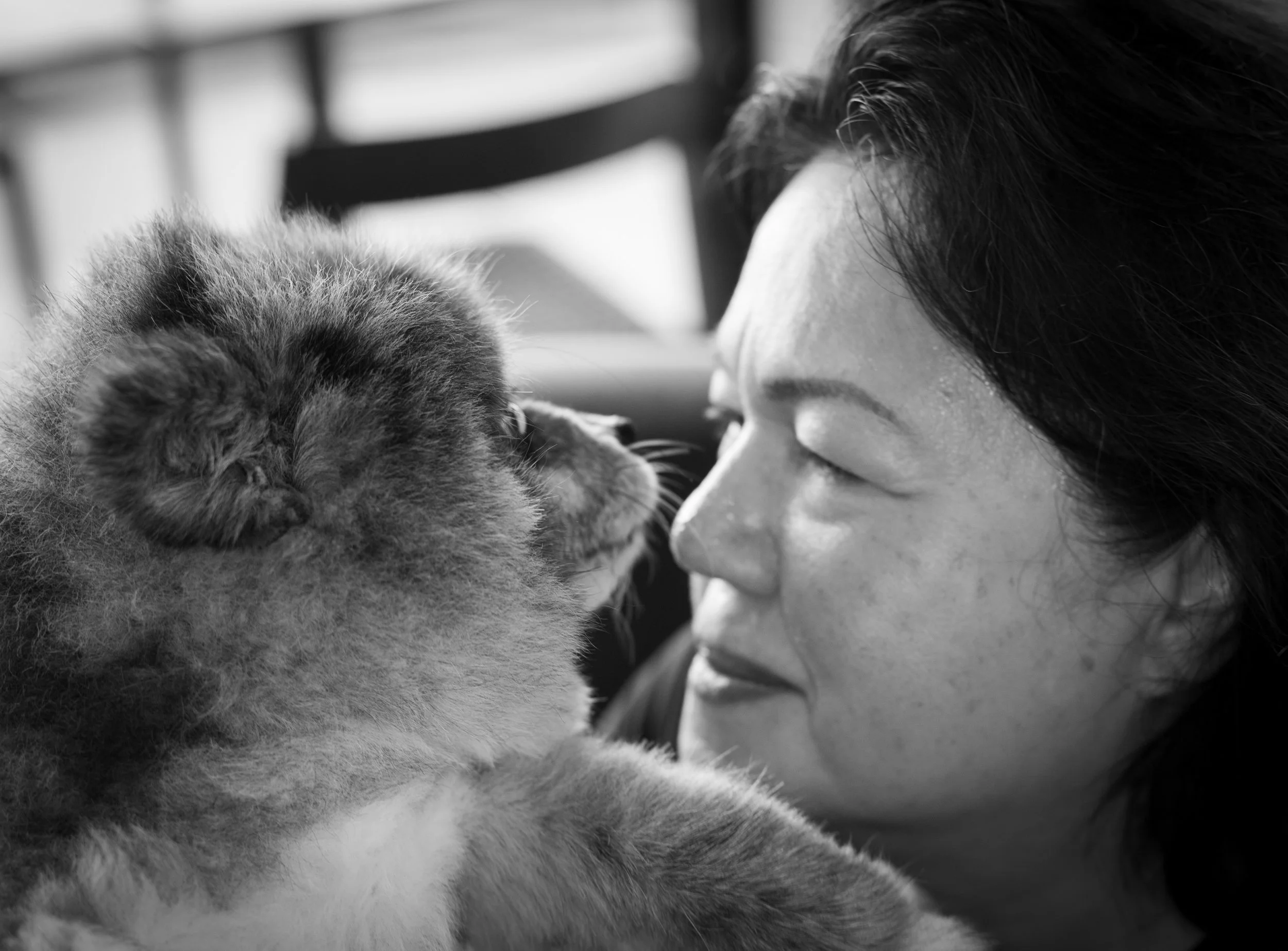 A woman with dark hair and freckles touching noses with a fluffy puppy.