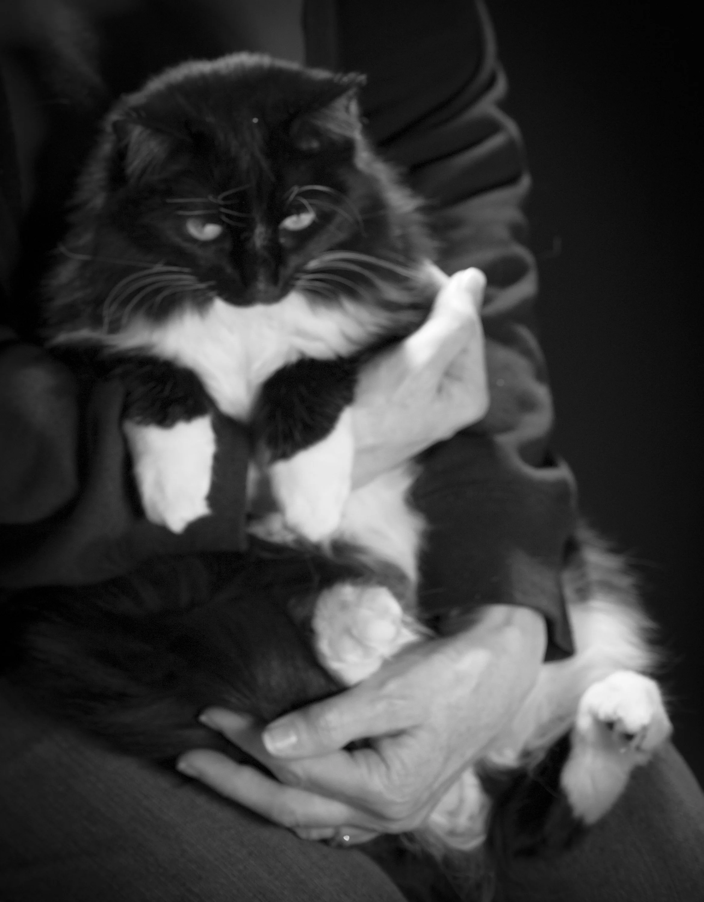 Mabel Mavis -5437.jpg