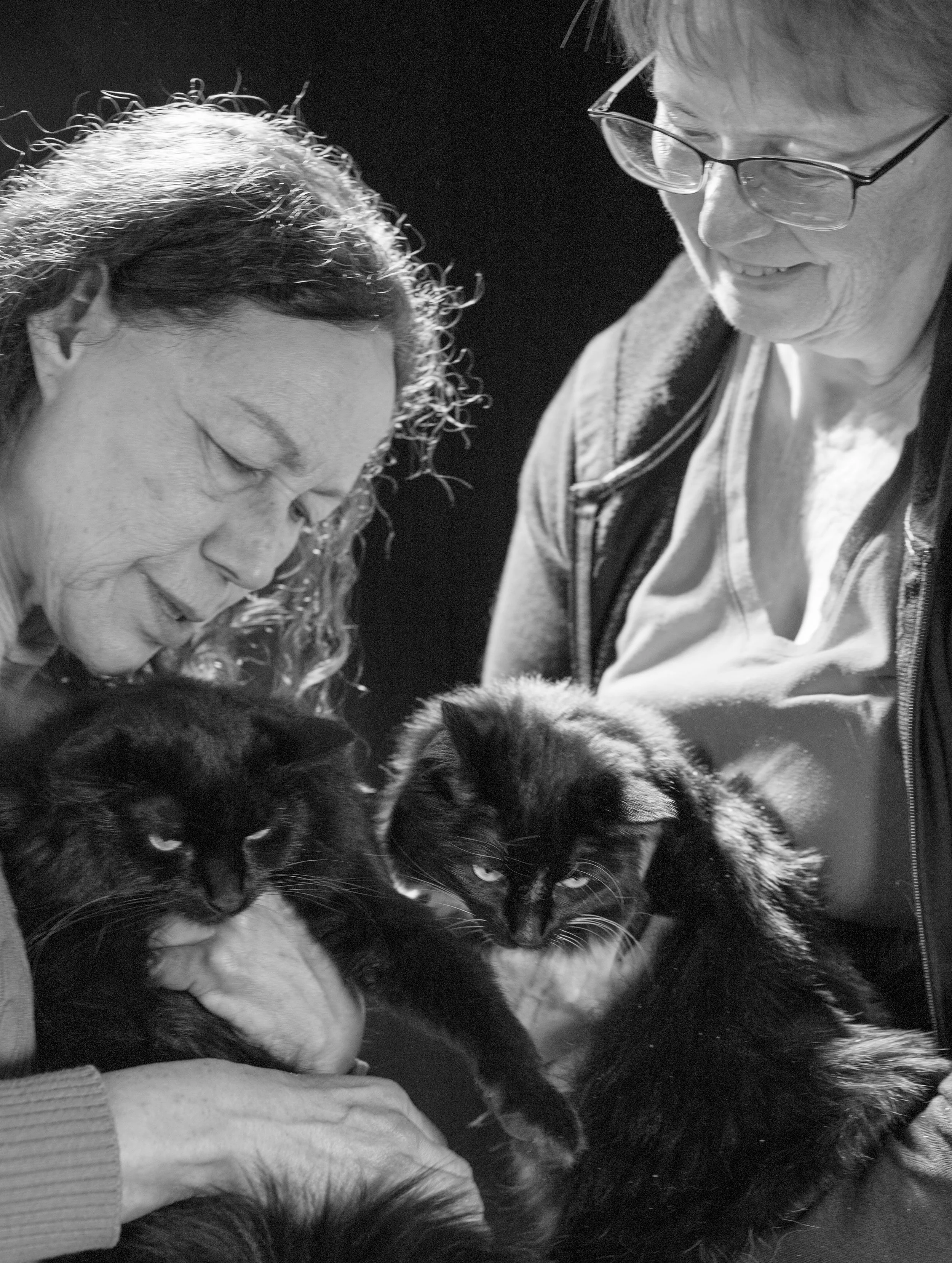 Two women holding black and tabby cats, smiling and interacting with them.