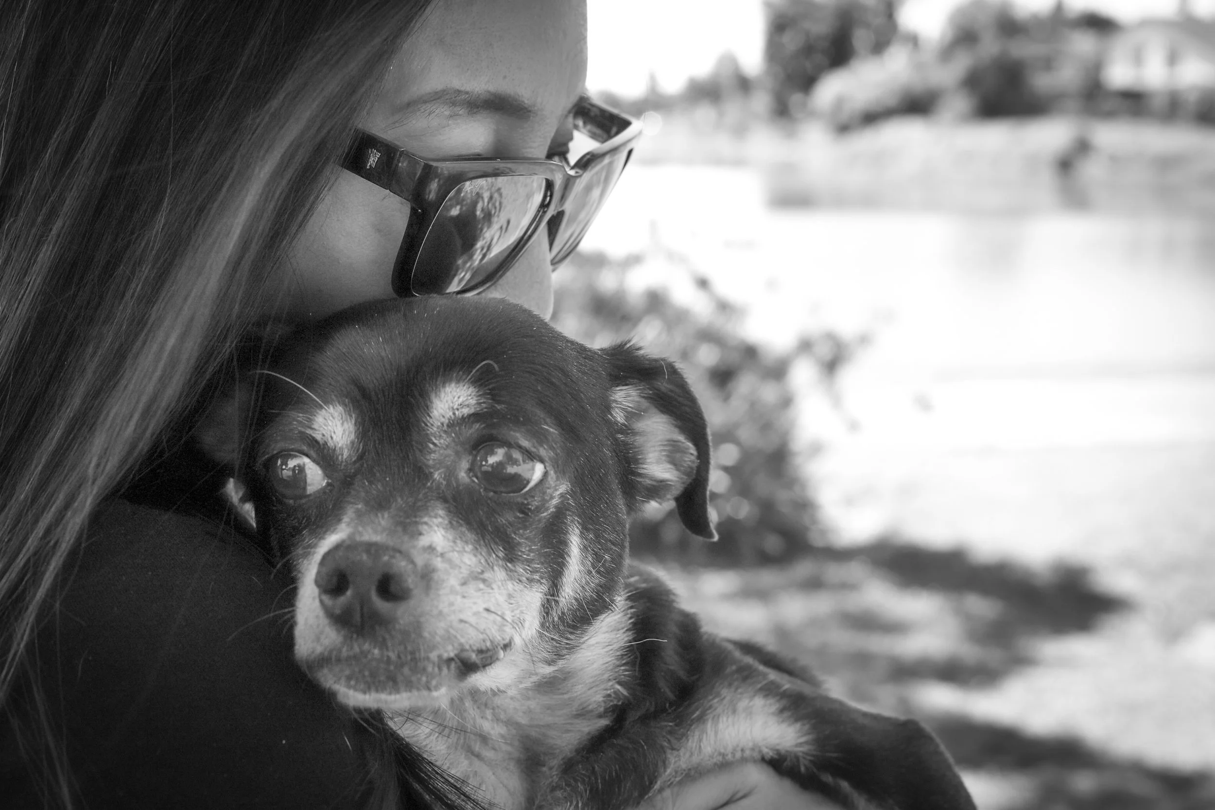 A person wearing sunglasses holding a small dog outdoors near a body of water.