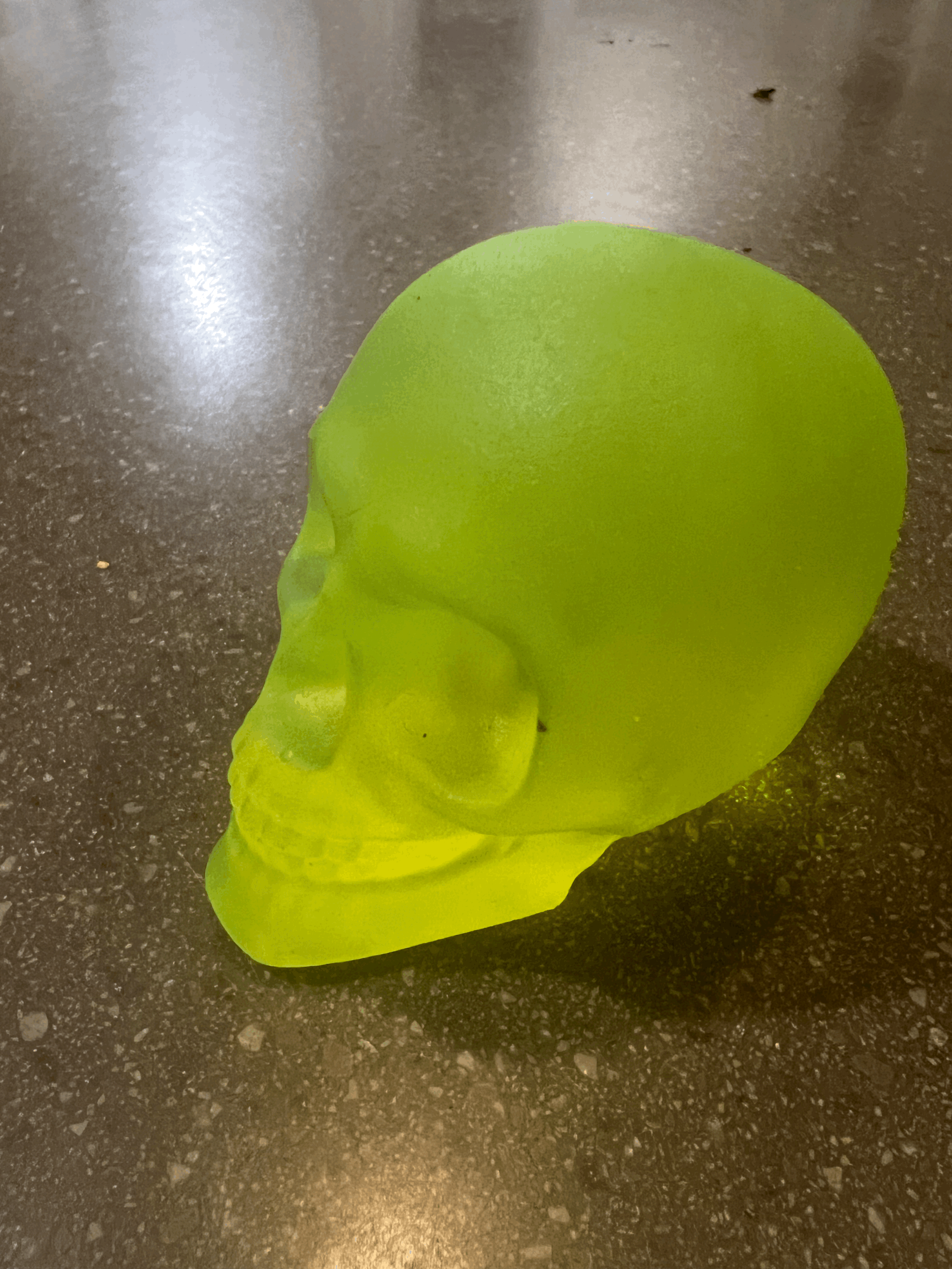 tempImageoypfRm.gif