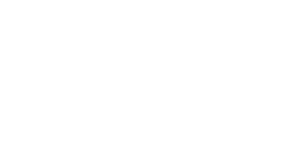 PTYP EVENTS  | Balloons, Cakes & Party Styling Sutherland Shire