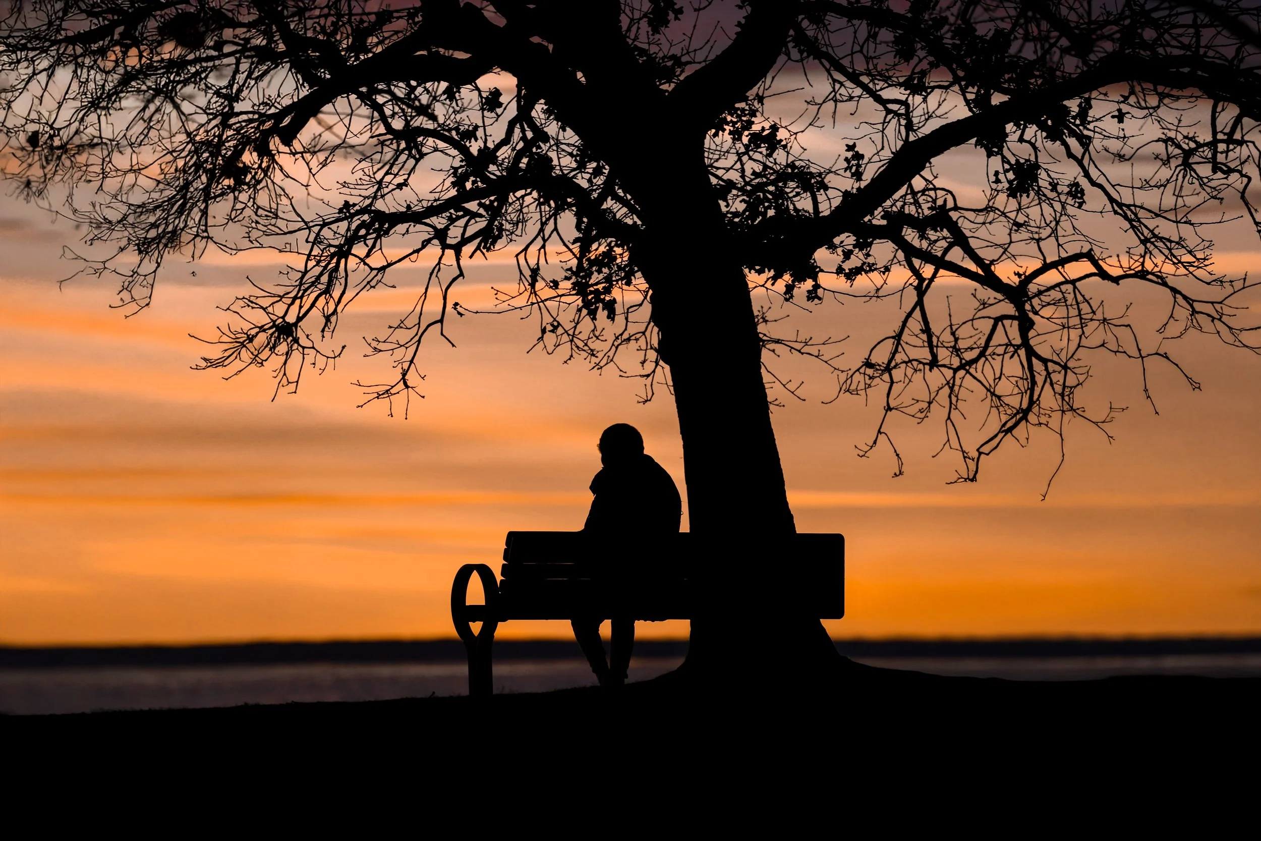 erson sitting alone on a bench at sunset, silhouette representing loneliness and emotional isolation in PTSD