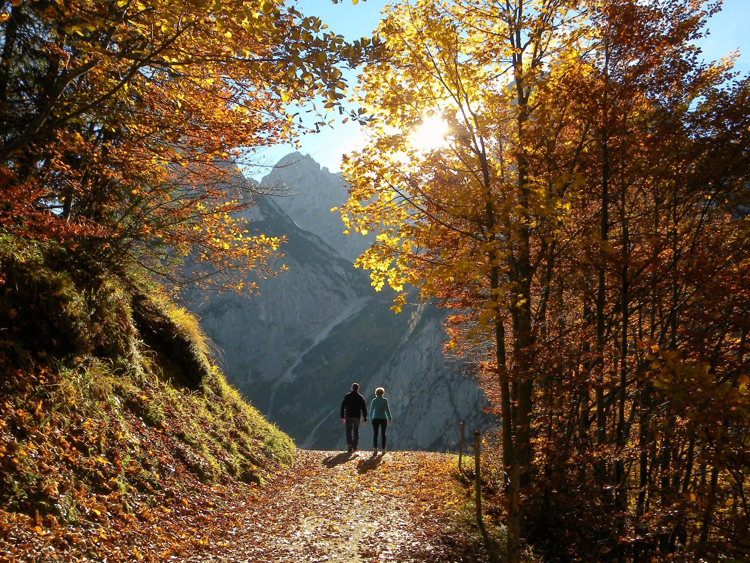 Two people walking from a forest into sunlight onto an open path with a distant vista ahead
