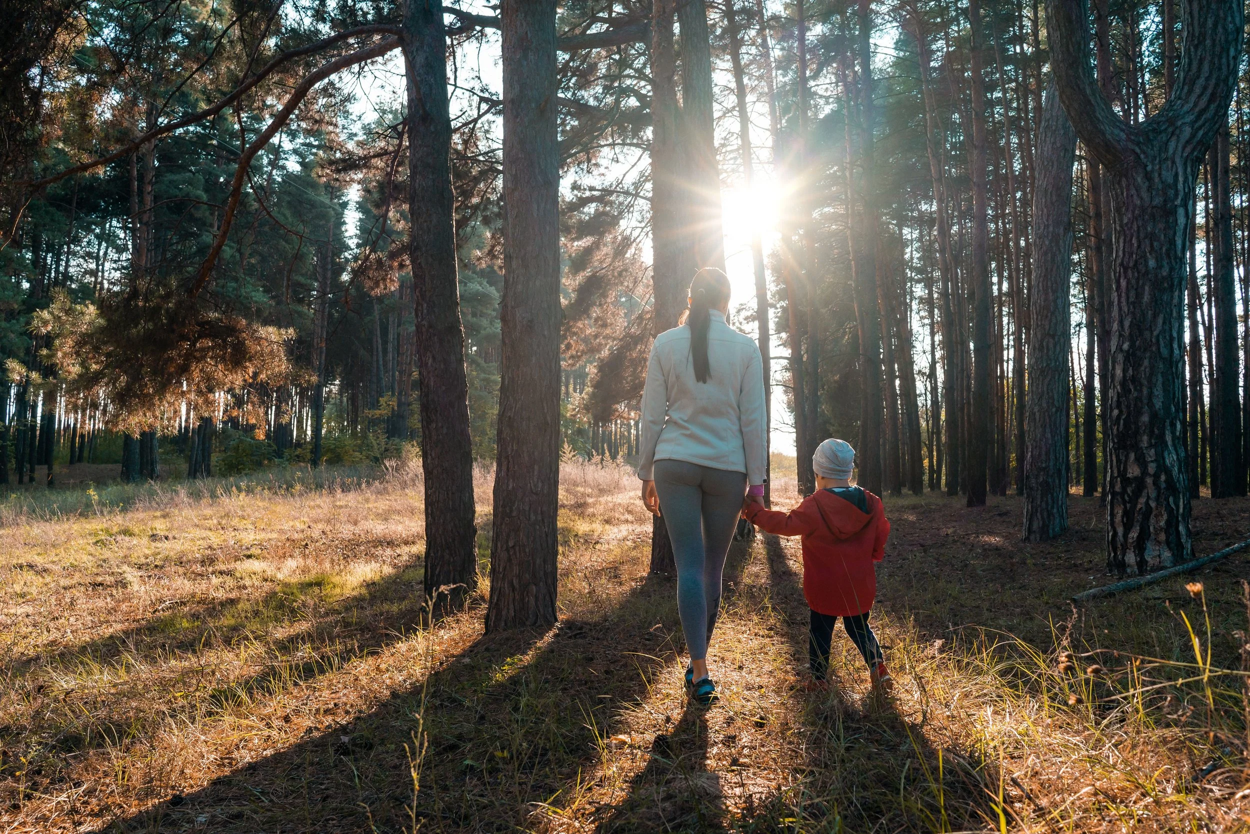 Mother and child walking together on a forest path with sunlight filtering through the trees.