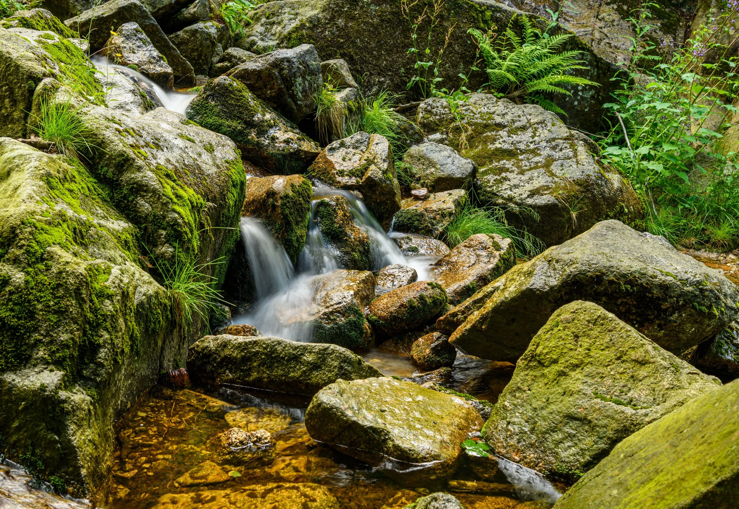 A tranquil mossy rock waterfall in a forest, evoking the calm and flow that becomes possible through individual trauma therapy