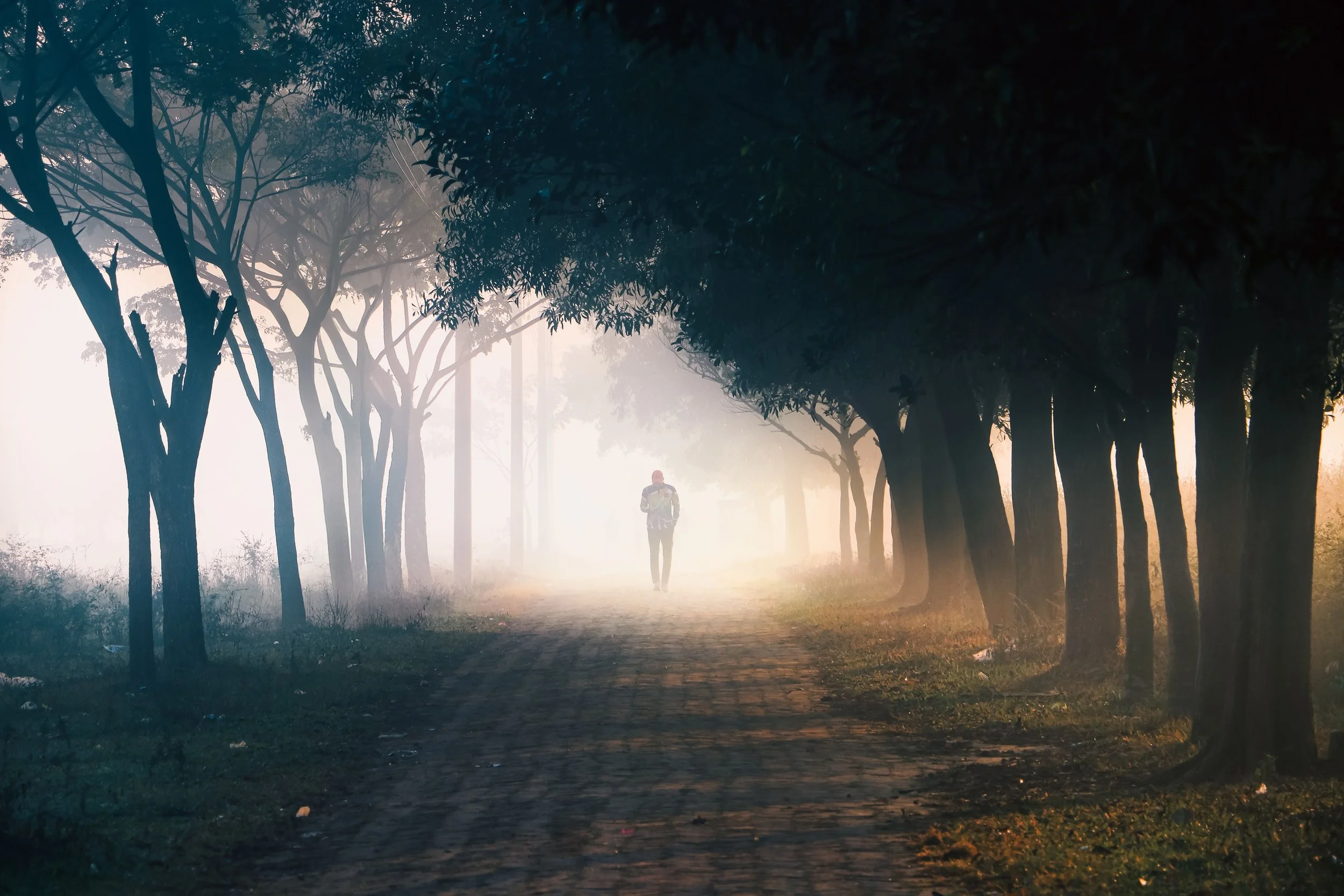 A person walking along a path surrounded by fog that clears ahead of them, representing the journey from confusion and self-doubt toward clarity in narcissistic abuse recovery therapy