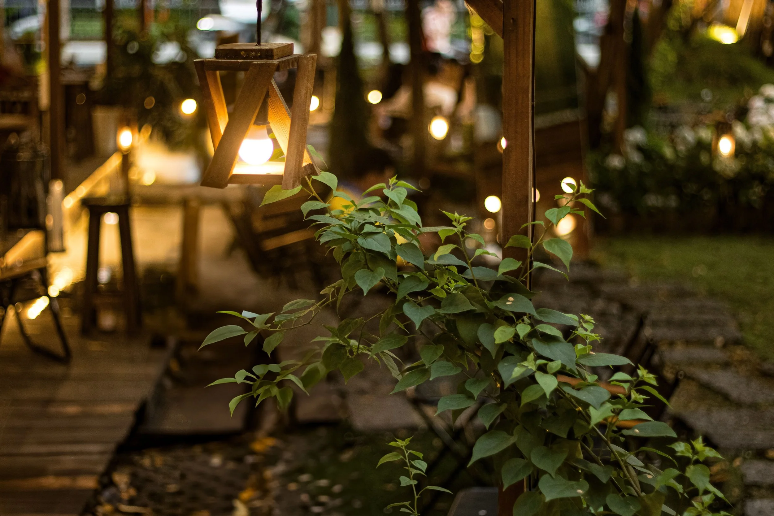 Warm garden lamp and lush green foliage with fairy lights in the background, evoking the safety and warmth of the therapeutic relationship at Seek the Sun Psychotherapy