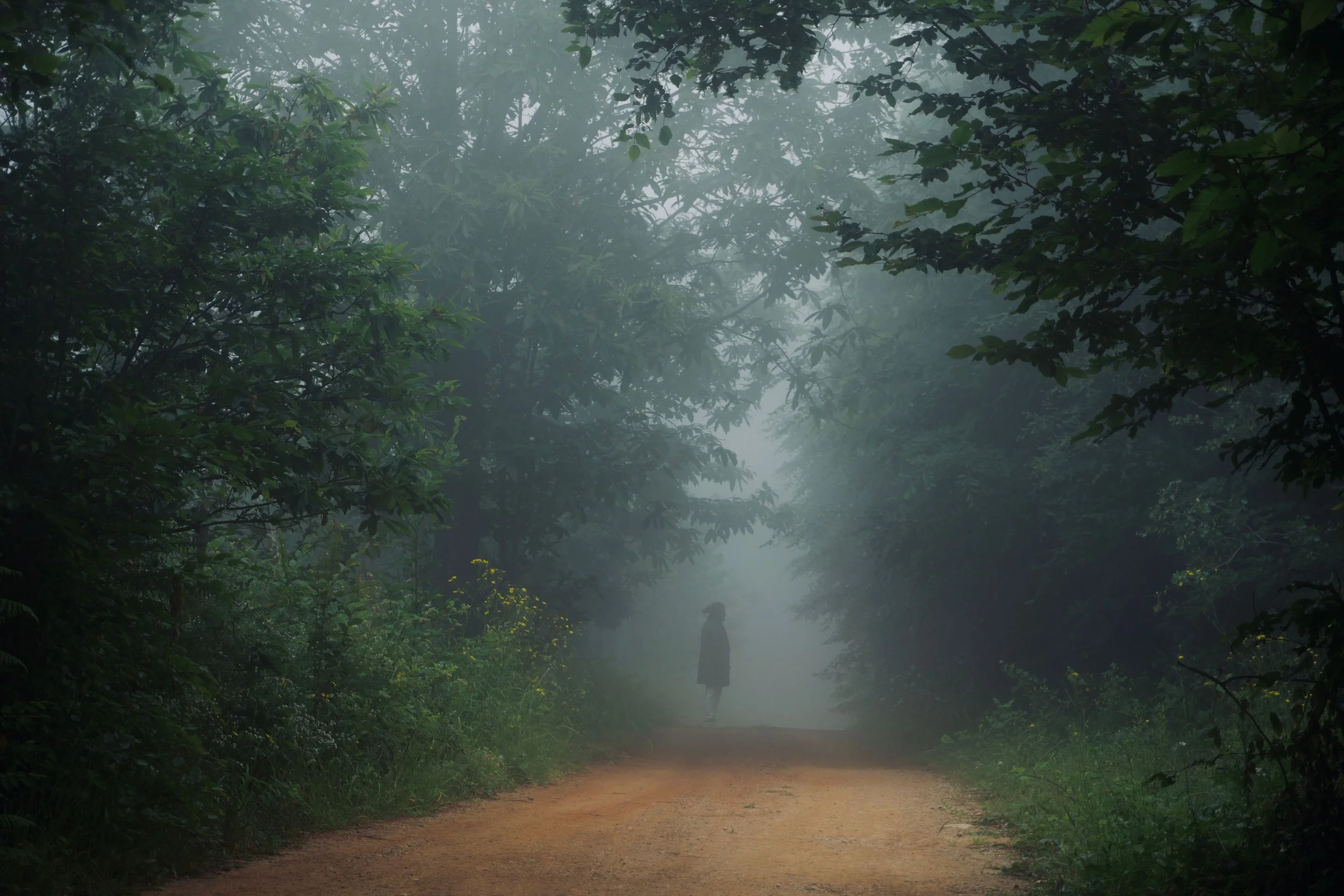 A hooded figure standing on a foggy forest path looking up at the trees, representing the moment of pausing and beginning to look toward healing in individual trauma therapy