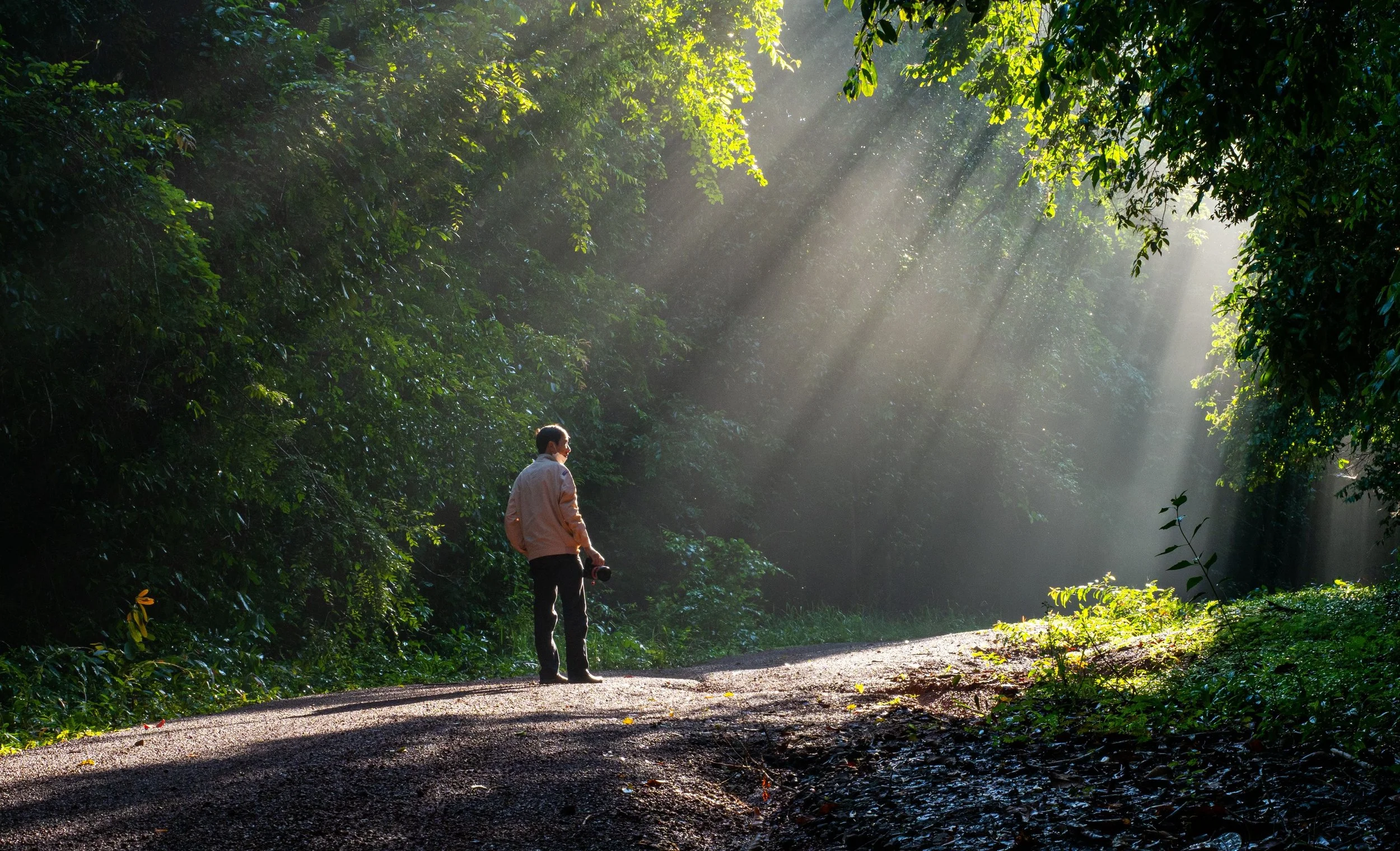 A person walking on a sunlit forest path with light breaking through the trees, representing the clarity and healing that comes from understanding the impact of emotionally immature parents in therapy