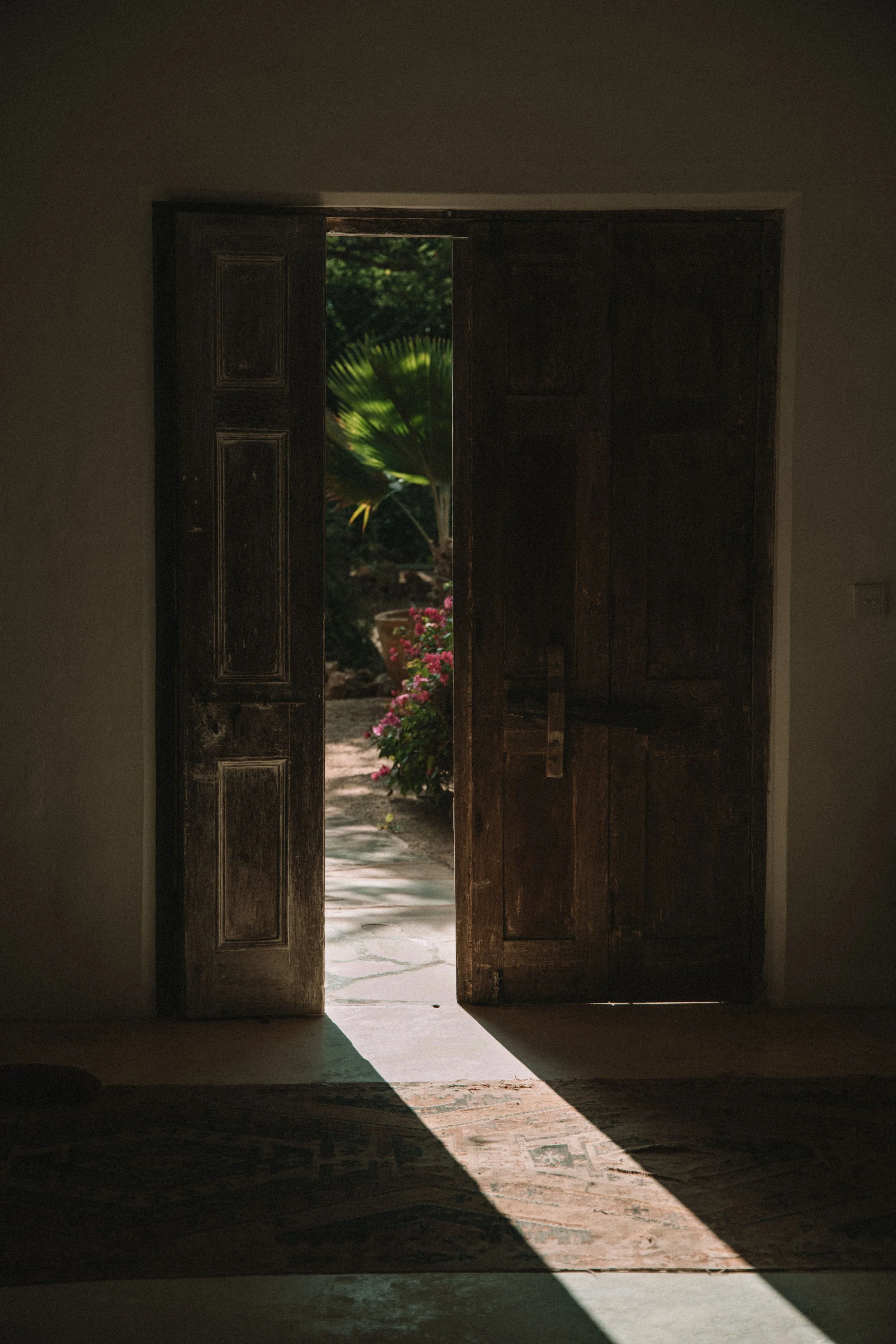 Open door from a dark room leading to a sunlit garden outside