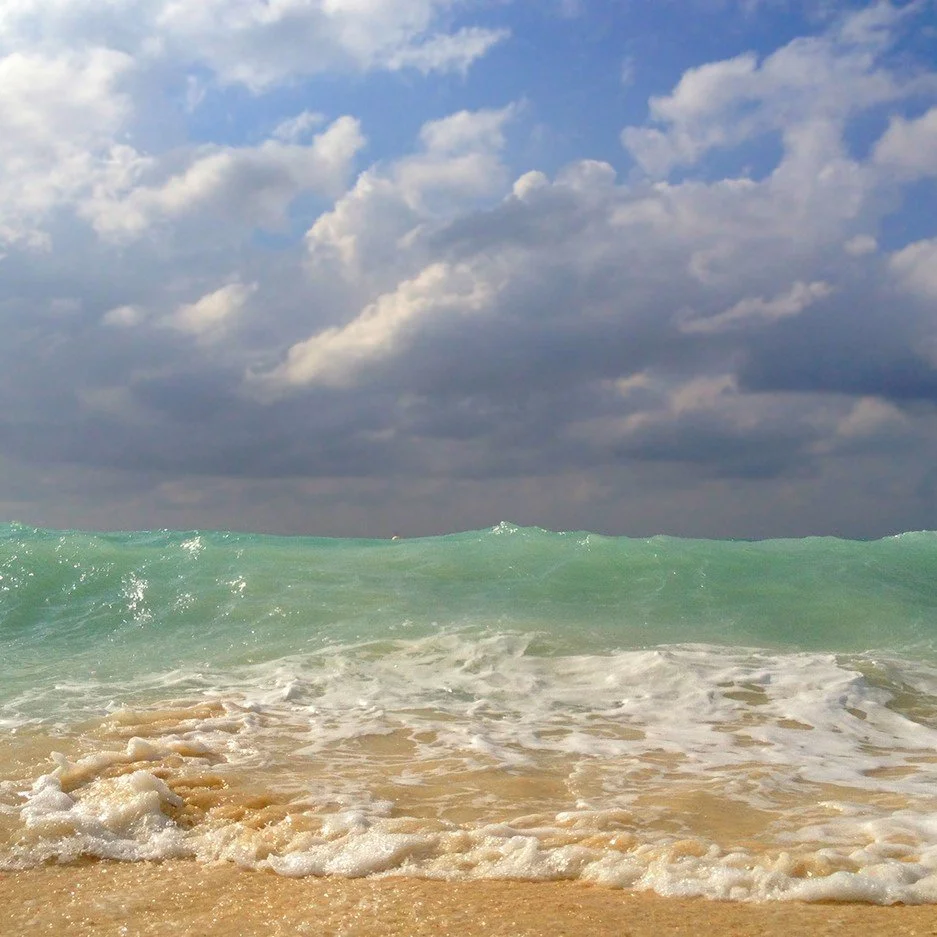 Announcing Discounted Consulting Rates – Limited Time Only!