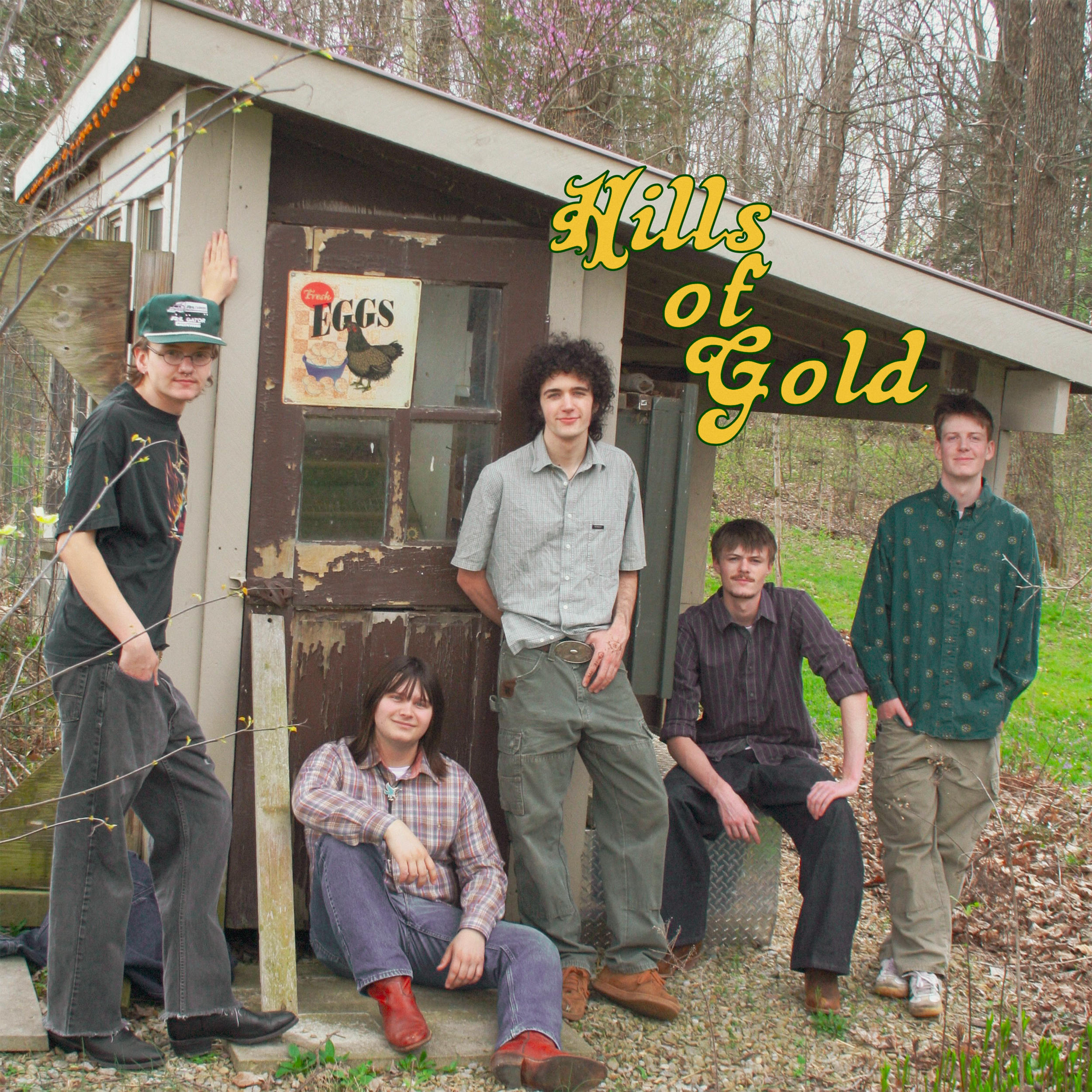 Hills of Gold