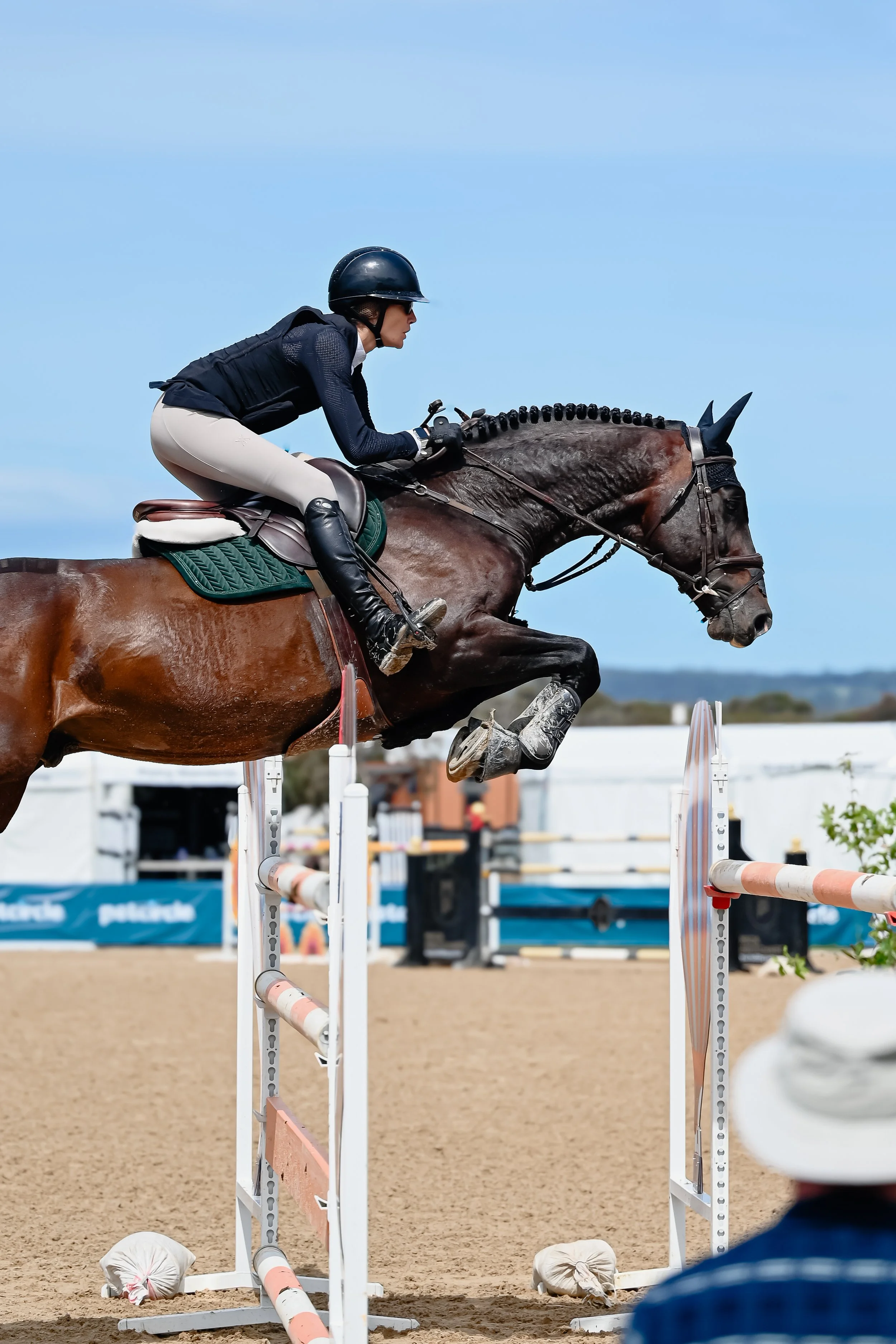 Hamrah van het Exelhof Z