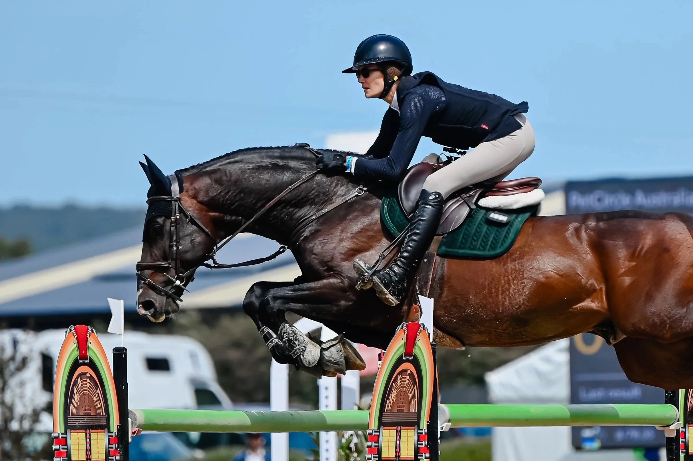 Hamrah van het Exelhof Z