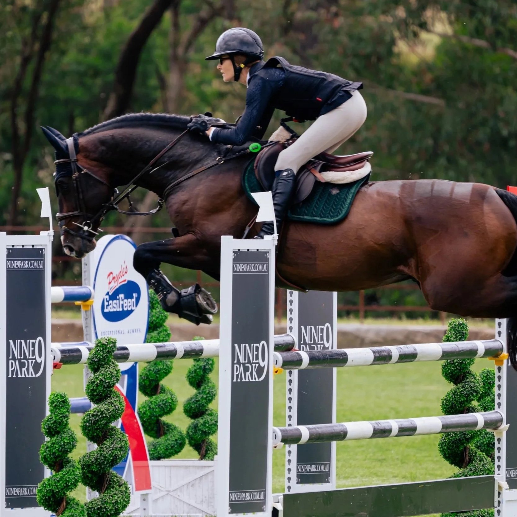 Hamrah van het Exelhof Z