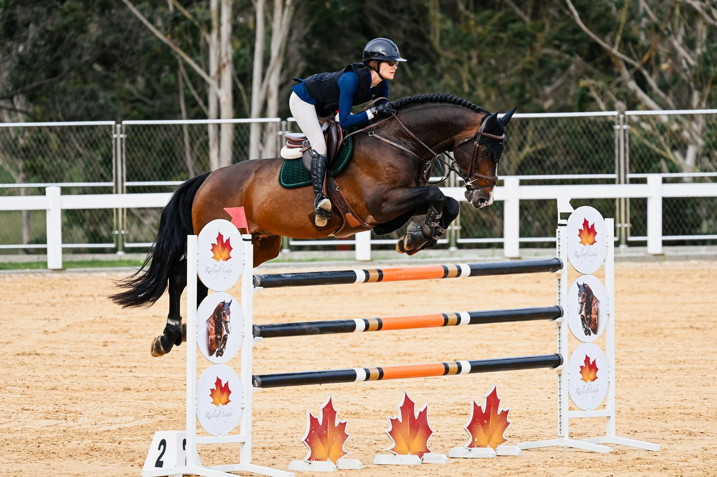 Hamrah van het Exelhof Z