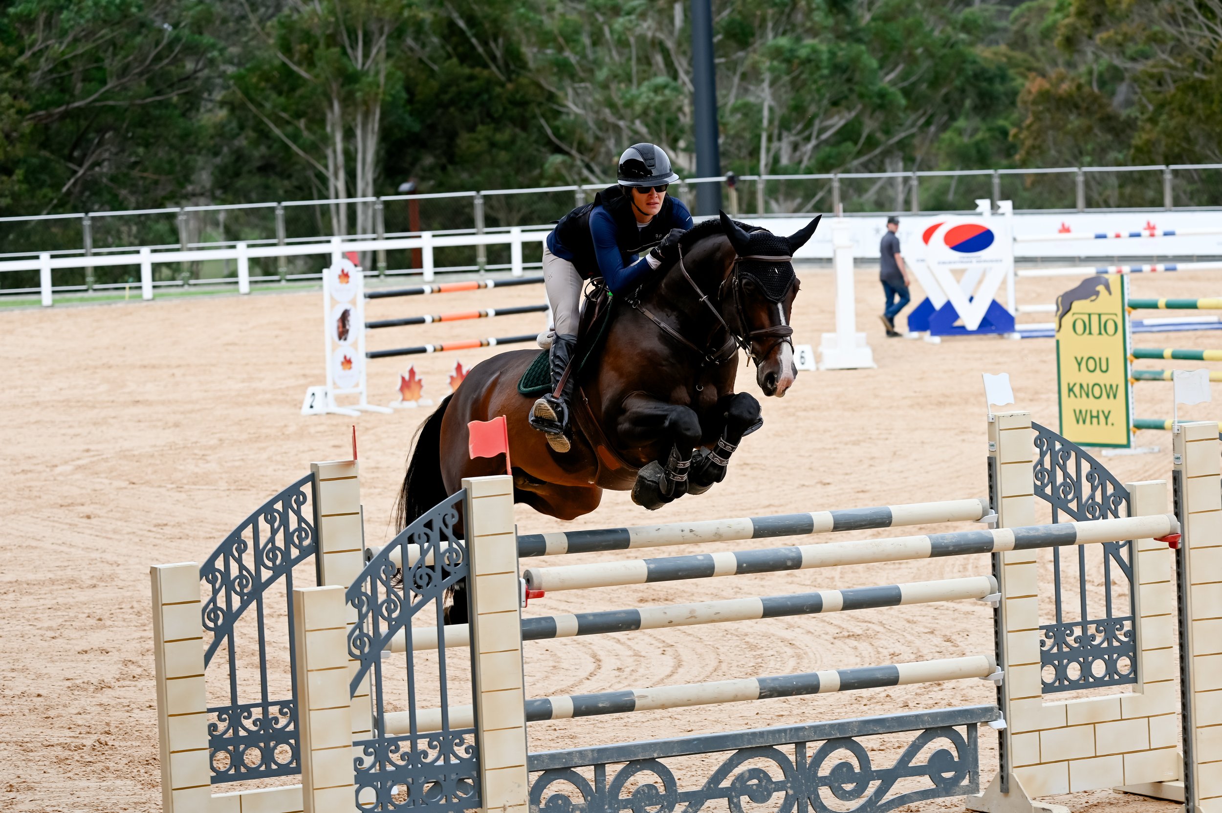 Hamrah van het Exelhof Z