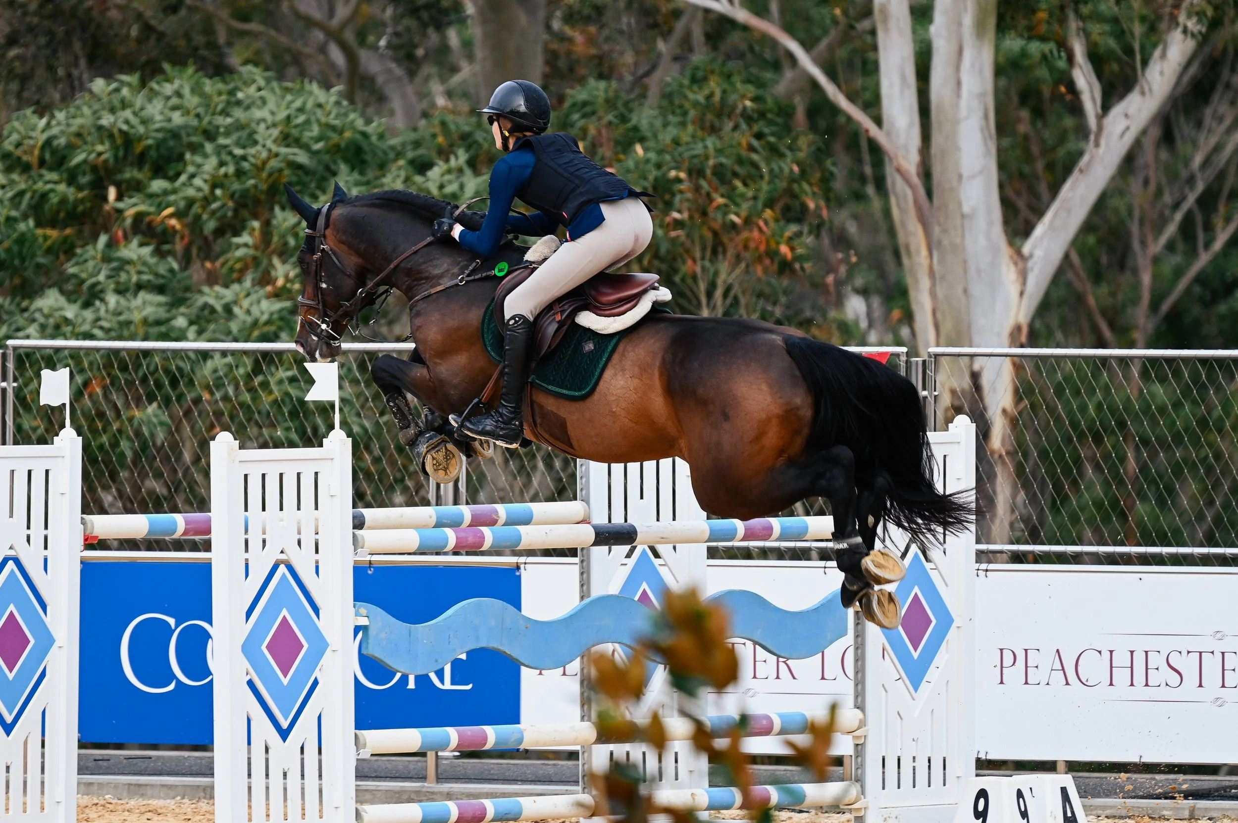 Hamrah van het Exelhof Z