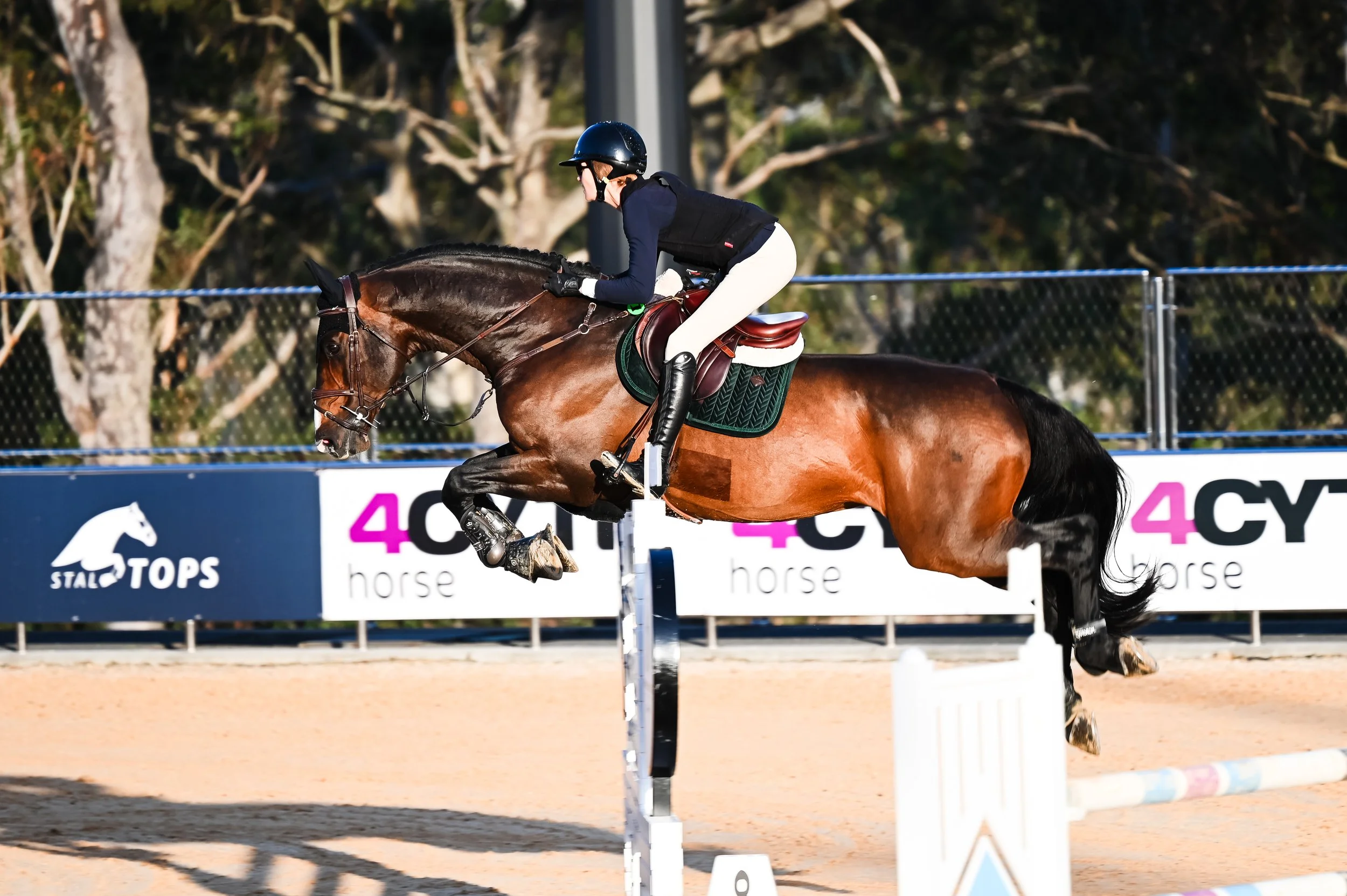 Hamrah van het Exelhof Z