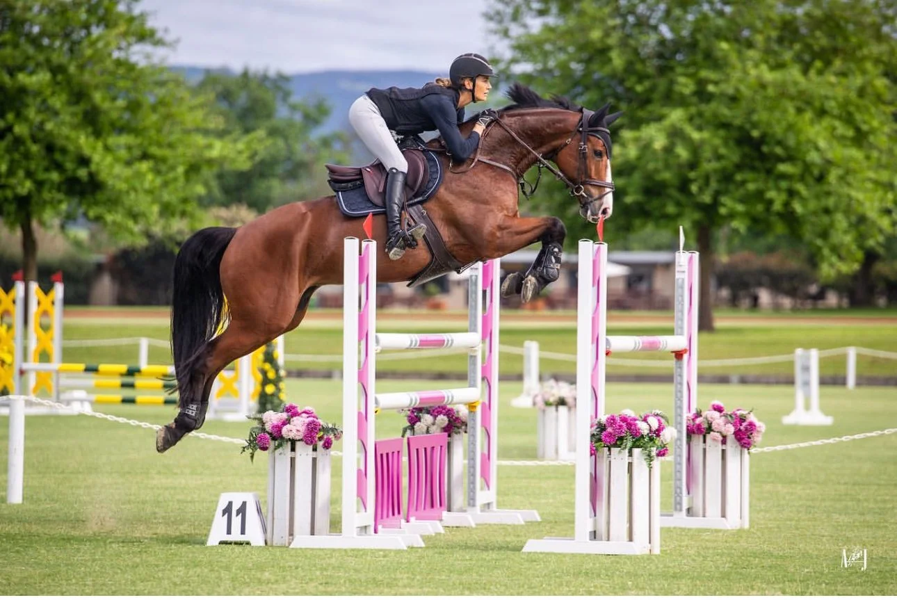 Equestrian jumping a brown horse over a pink and white hurdle in a field, with greenery in the background.