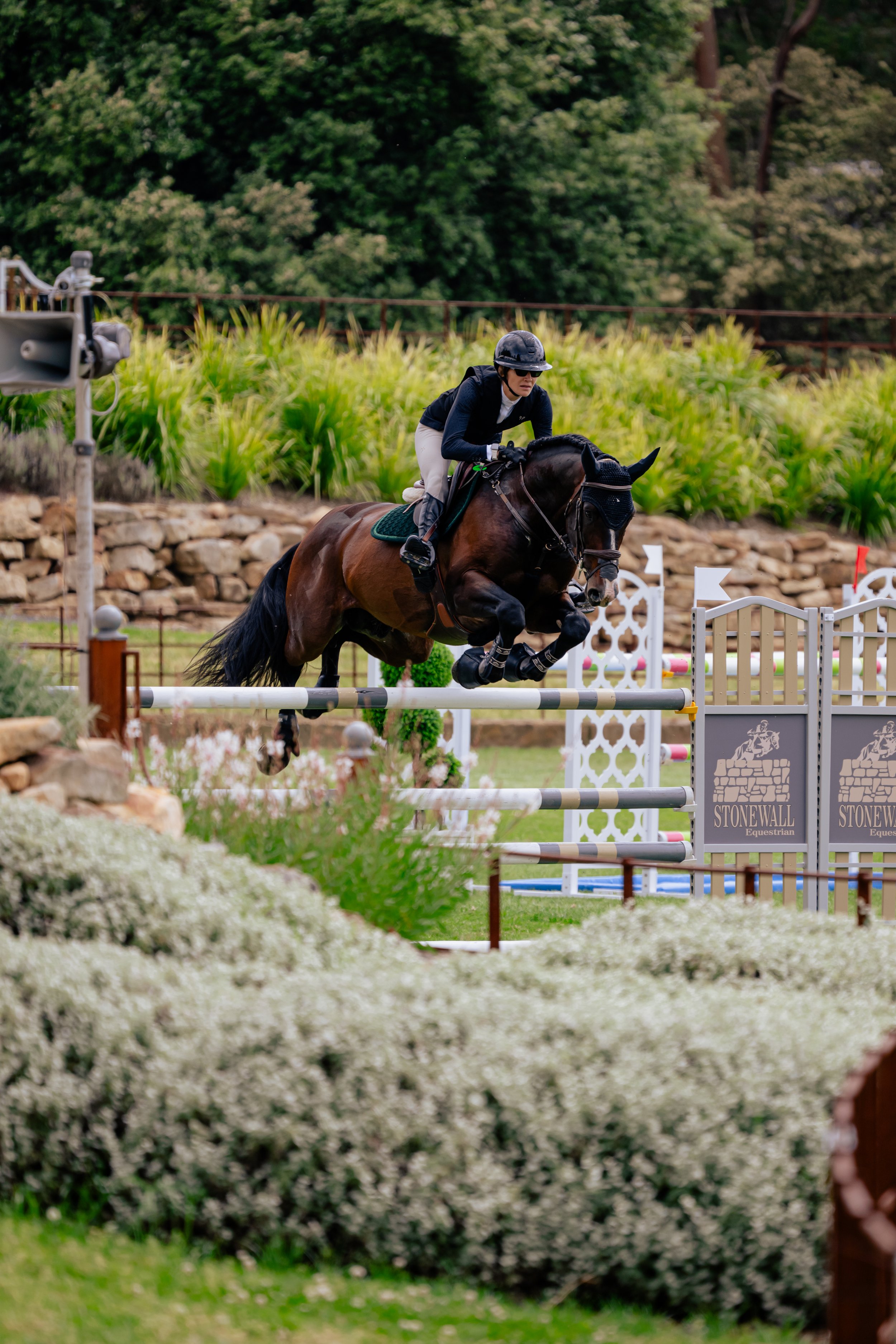 Hamrah van het Exelhof Z