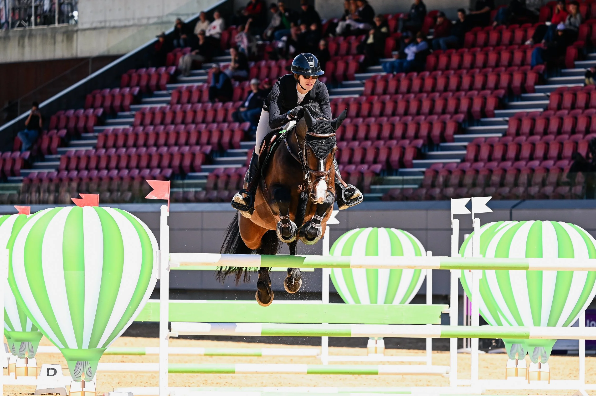 Hamrah van het Exelhof Z