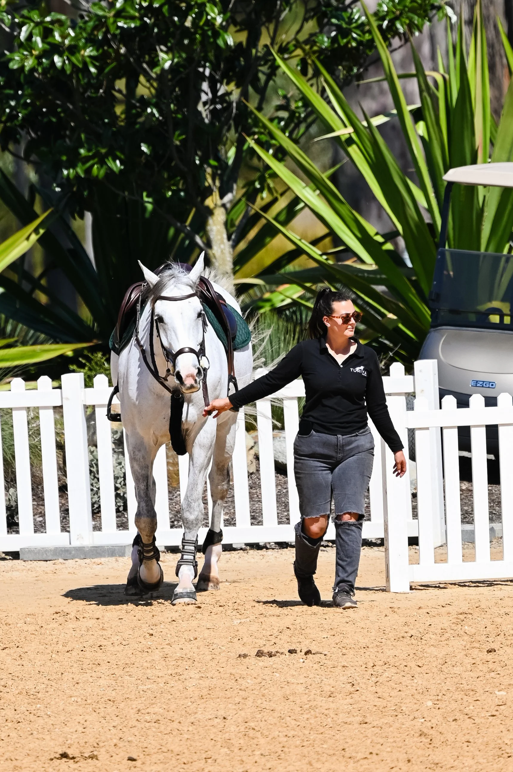 A person in a blue shirt with "Lauren Hough" logo holding a brown horse wearing a blue fly mask with "Equiline" logo.