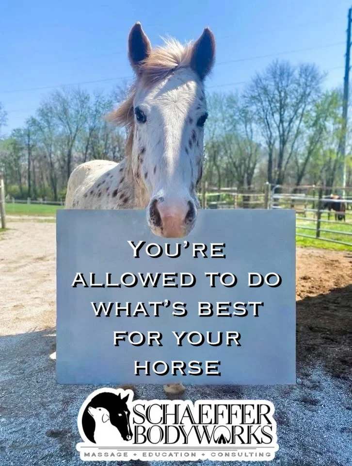 You’re allowed to do what’s best for you horse-even if others disagree