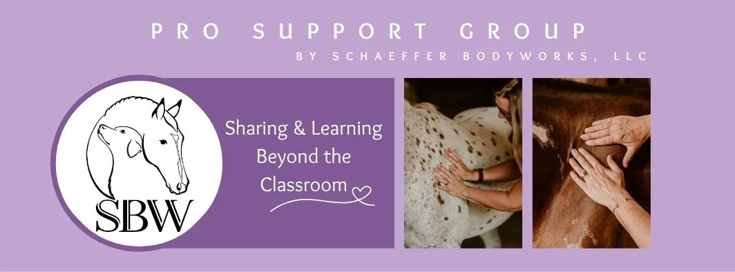 Header image for Pro Support Group by Schaffer Bodyworks featuring a logo with a horse's head, and two photos of hands massaging animals, a white-spotted horse and a brown horse.