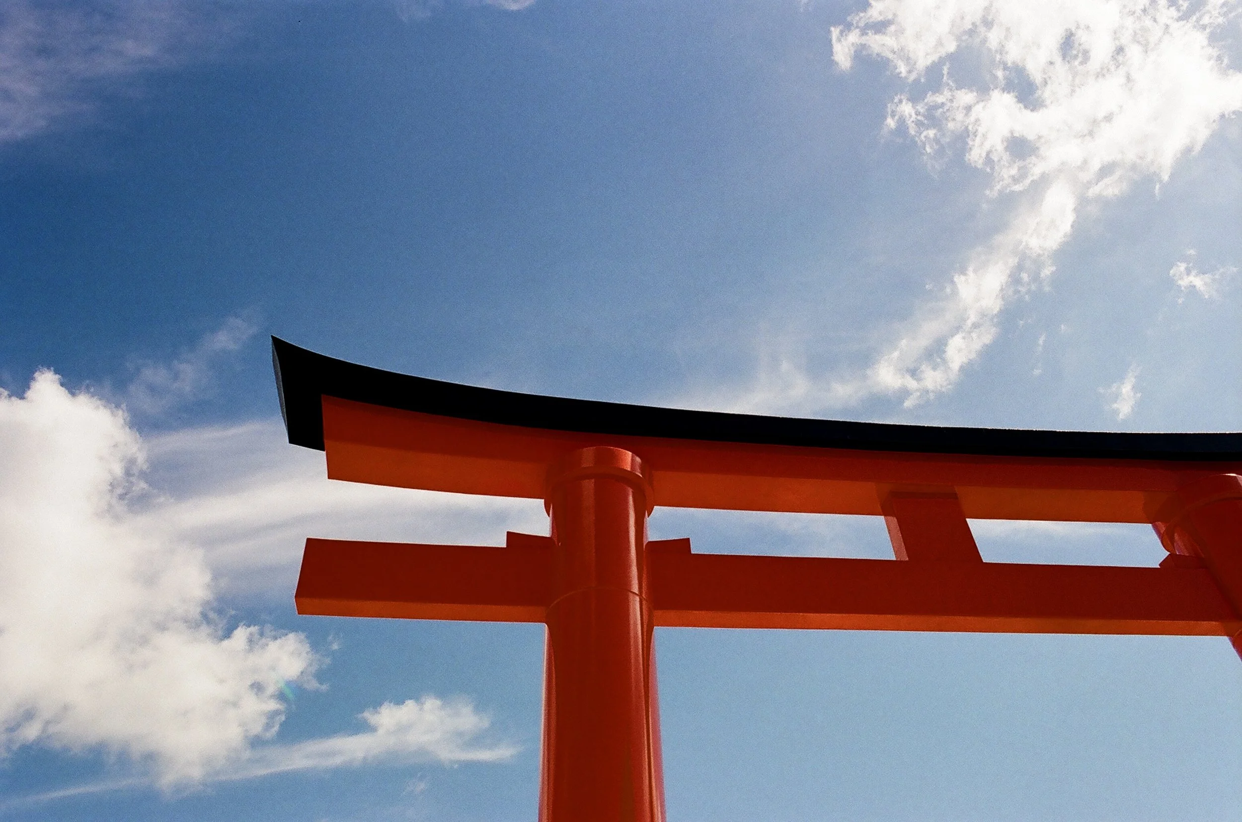 Kodak Portra 400 Review: Warm, Nostalgic, Worth It