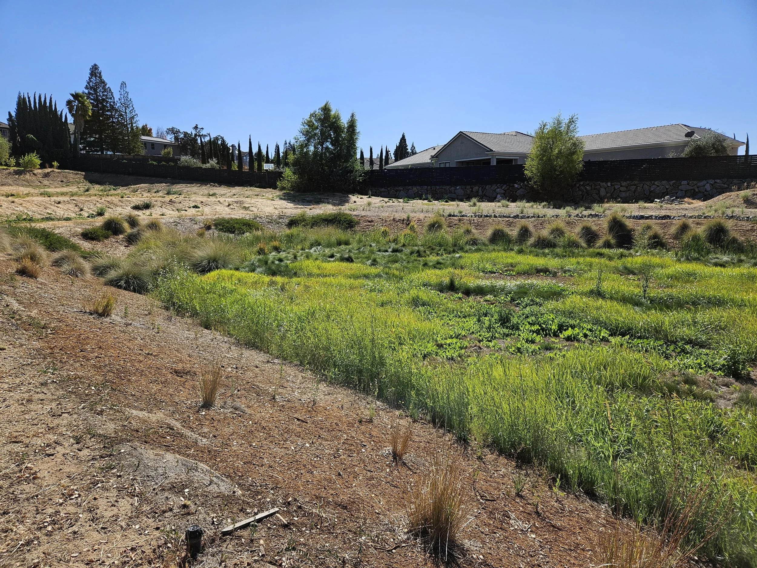 Wellquest Cottages 3.jpg