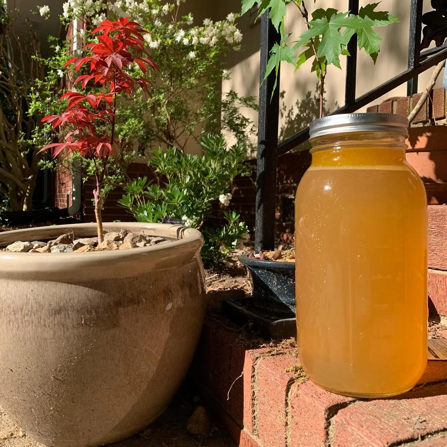 Soup is beautiful. Spring is lovely in the South. Shout out to @ficklecreekfarm for sourcing some really excellent chickens. Ginger, super nice green onions, and garlic into the pot. Simple shio with carrot, garlic, green onion, and adobo for heat. 
